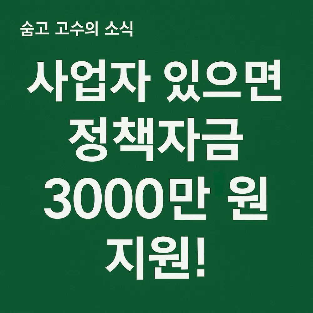 사업자 있으면 정책자금 3,000만 원 지원! - 숨고, 숨은고수 사업자 있으면 정책자금 3,000만 원 지원!