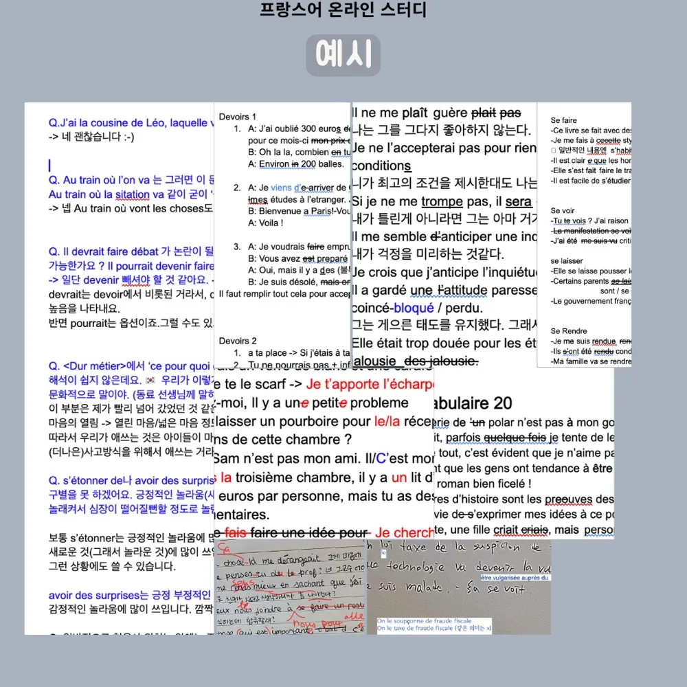 [온라인/프랑스어] 프랑스어 같이 배워보실 분! 온라인 프랑스어 스터디 홍보입니다🍝