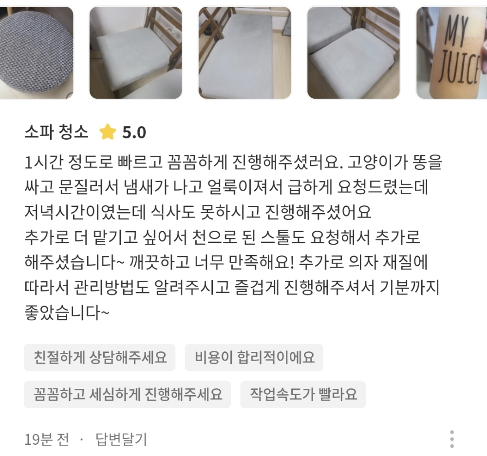 식탁의자에 얼룩&고양이오줌&소변냄새제거 - 숨고, 숨은고수