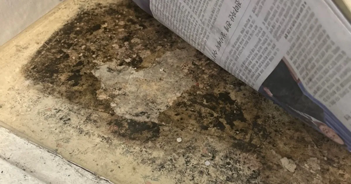 디젠인테리어 도배장판 후기 - 숨고, 숨은고수 디젠인테리어 도배장판 후기
