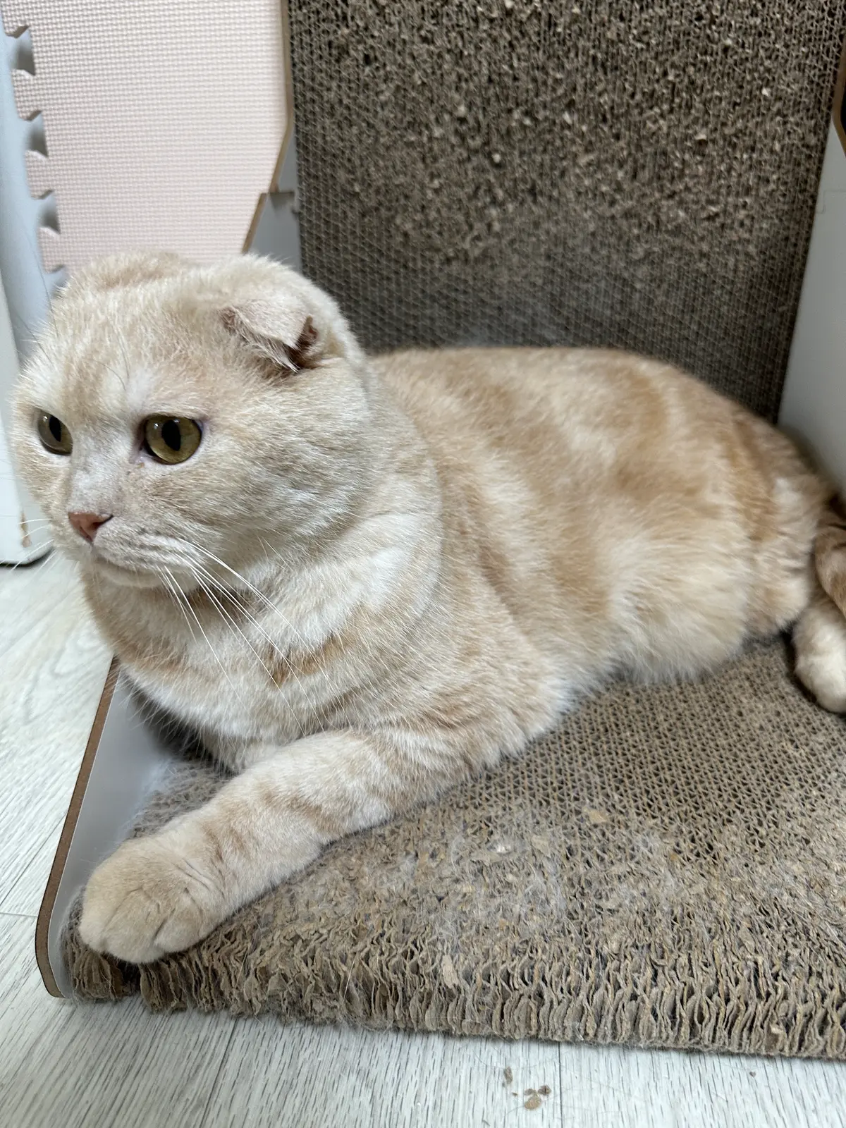 이미지 7