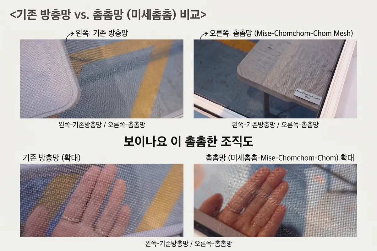 이미지 6