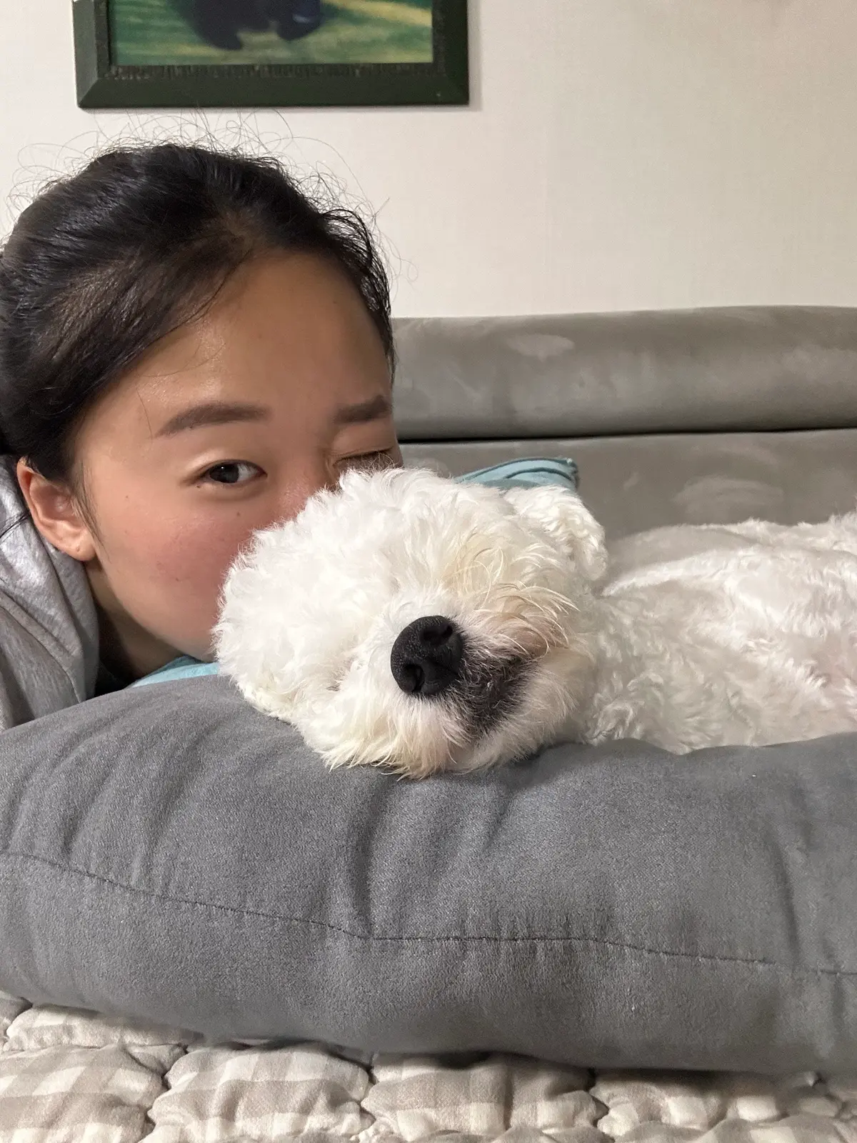 이미지 4