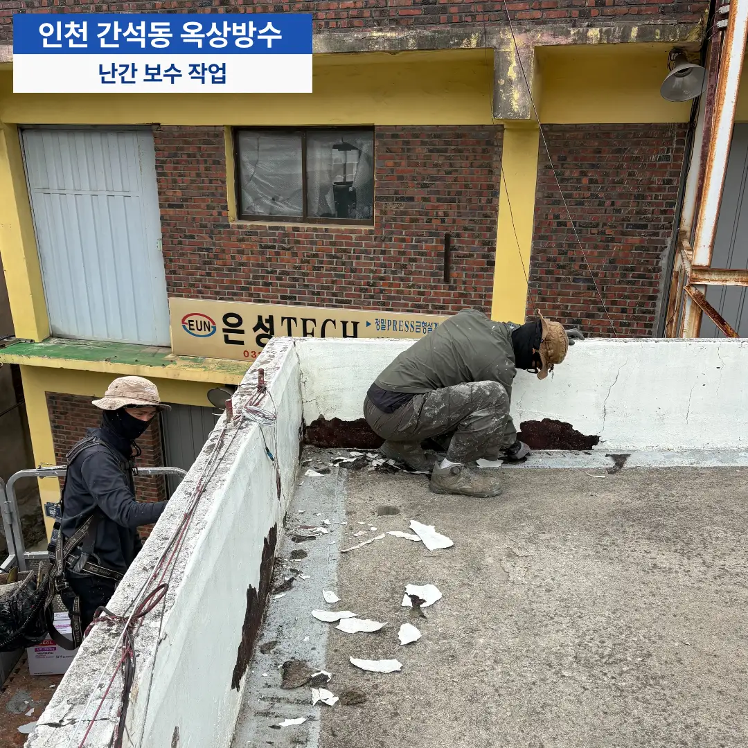 이미지 6