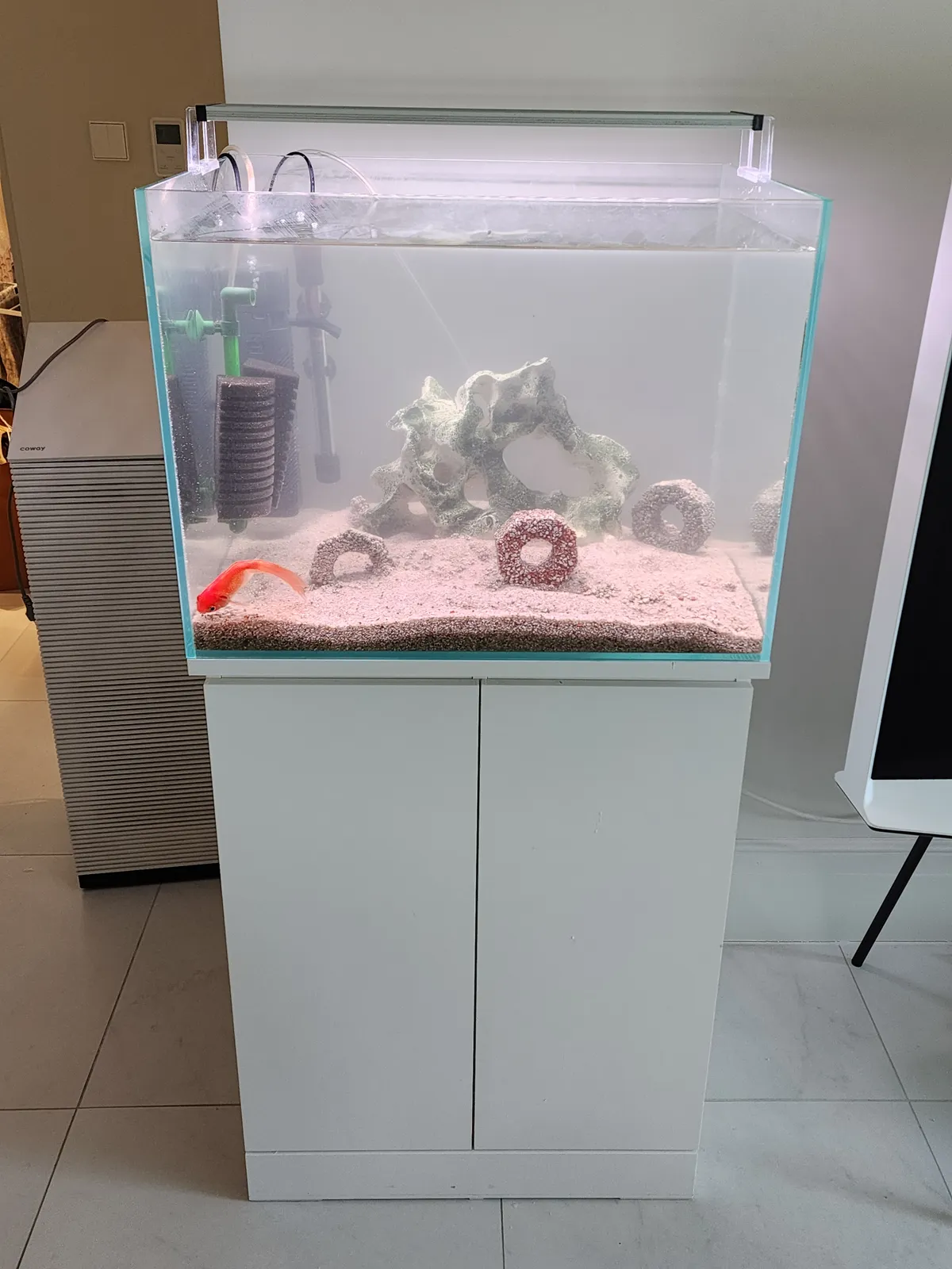 이미지 30