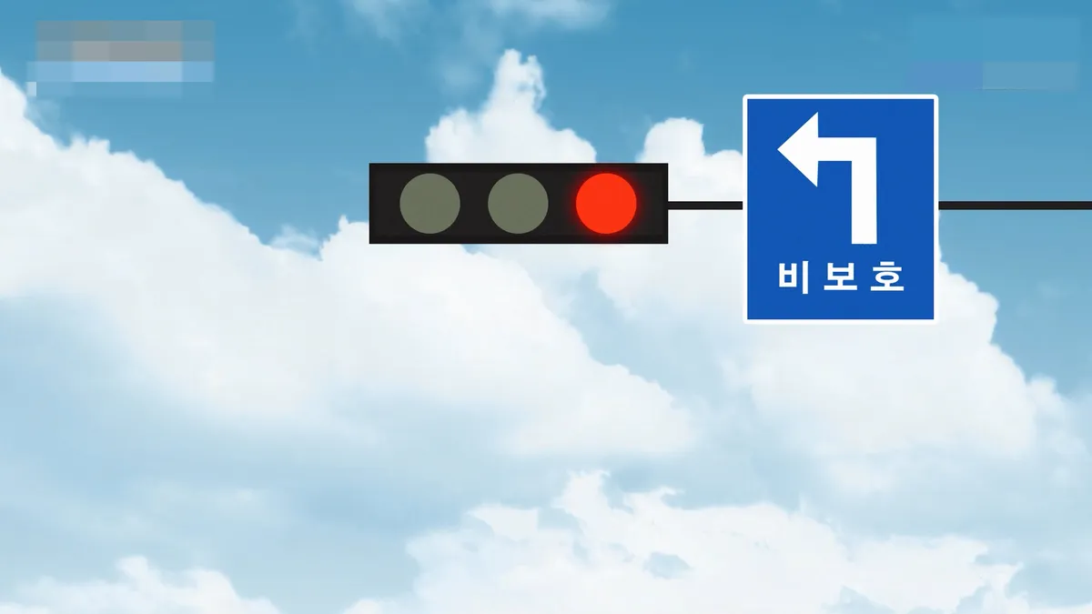 이미지 5