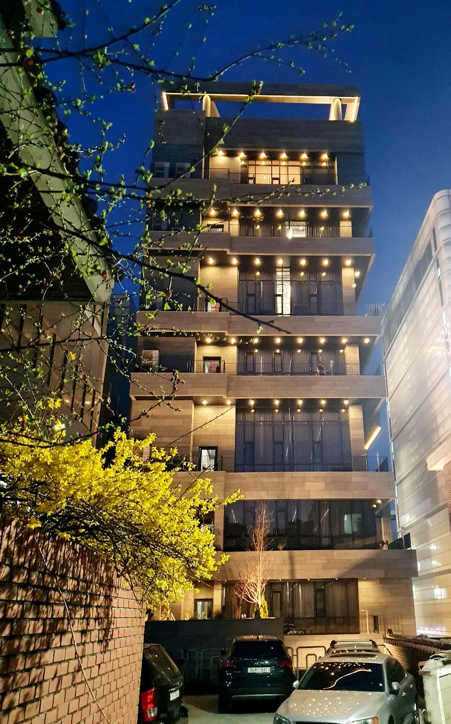 이미지 5