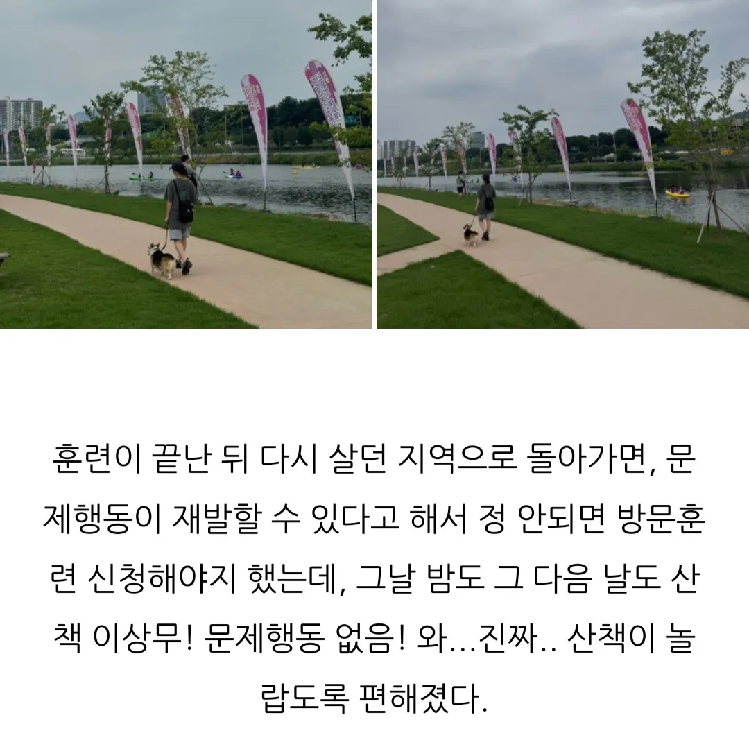 이미지 12