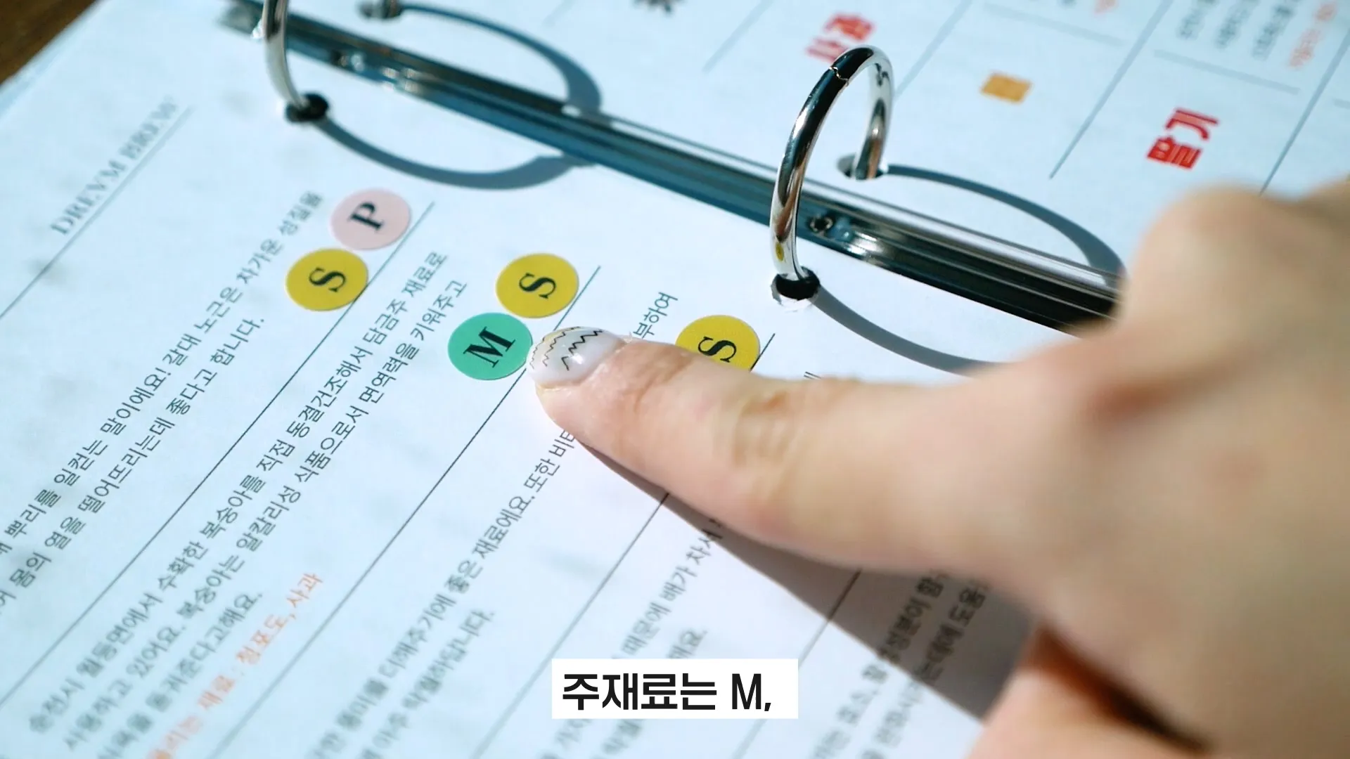 이미지 8