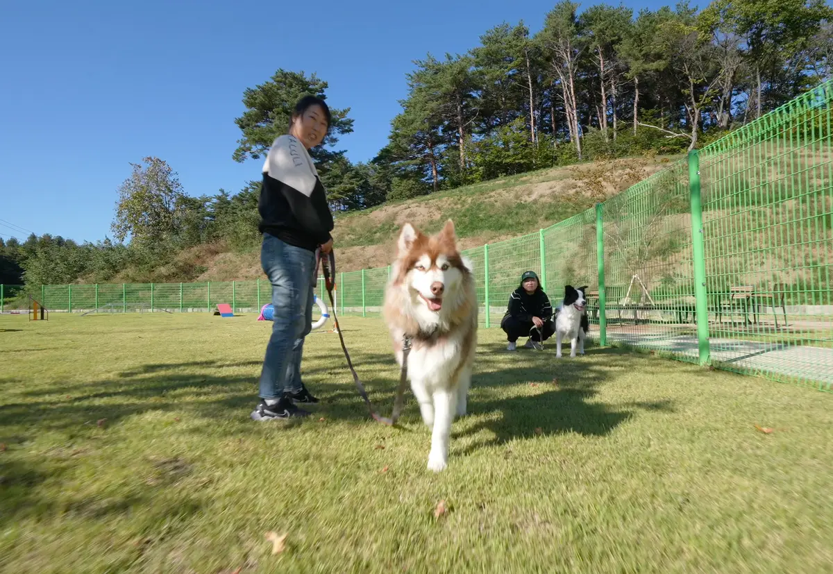 이미지 4