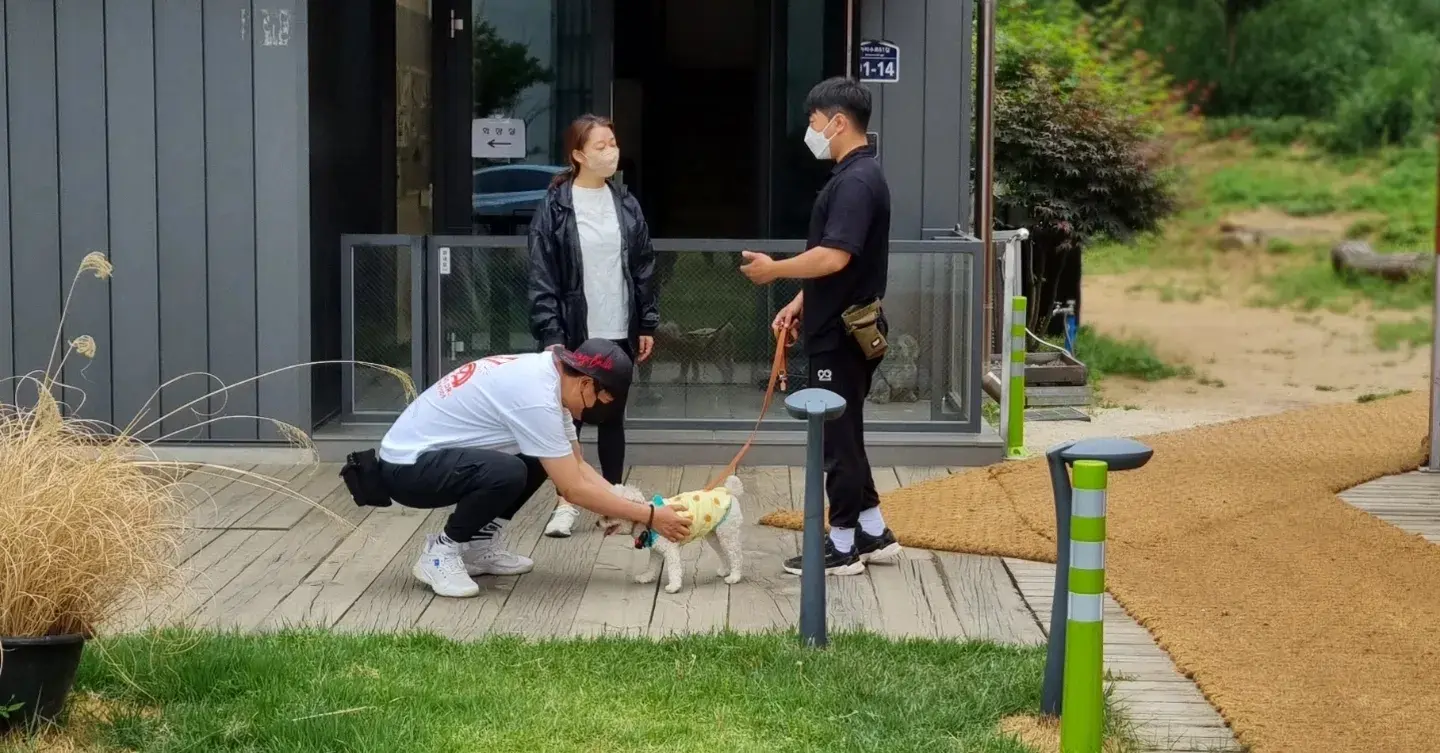 이미지 4