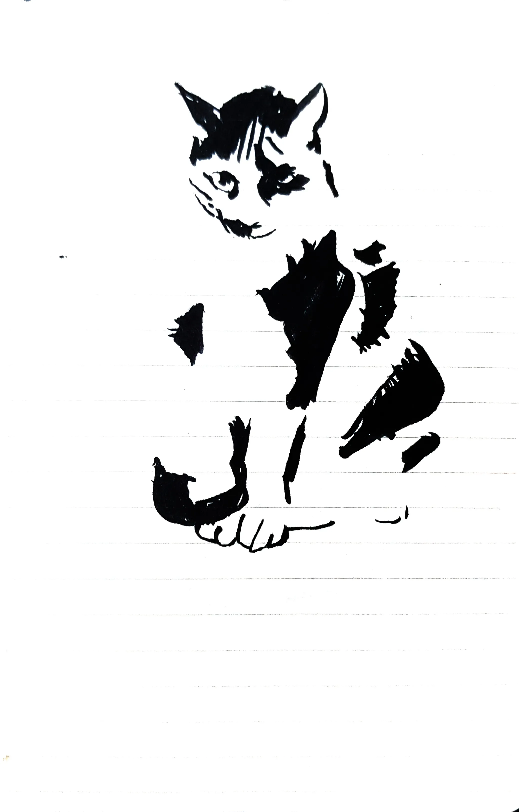 이미지 12