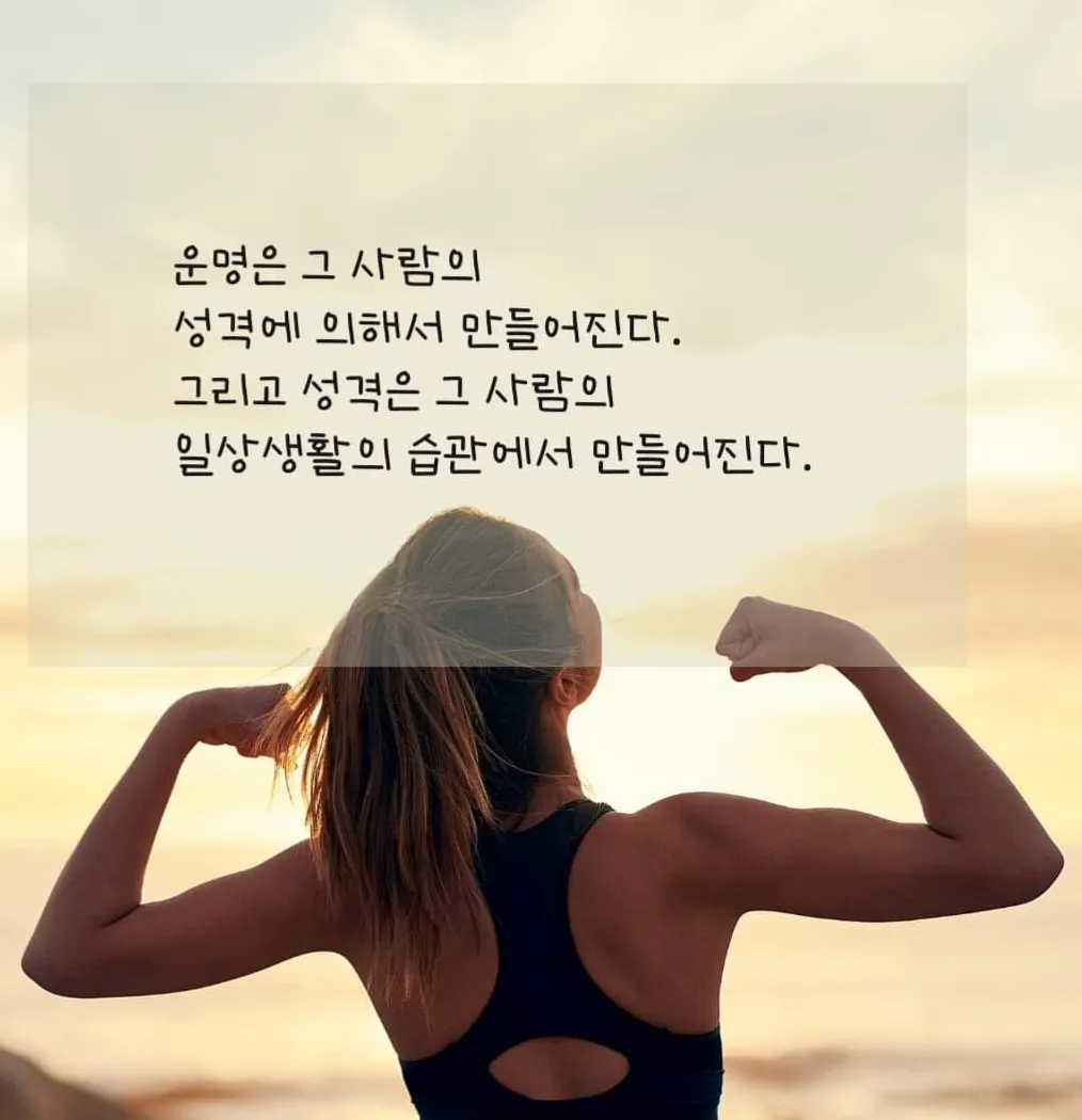 이미지 6