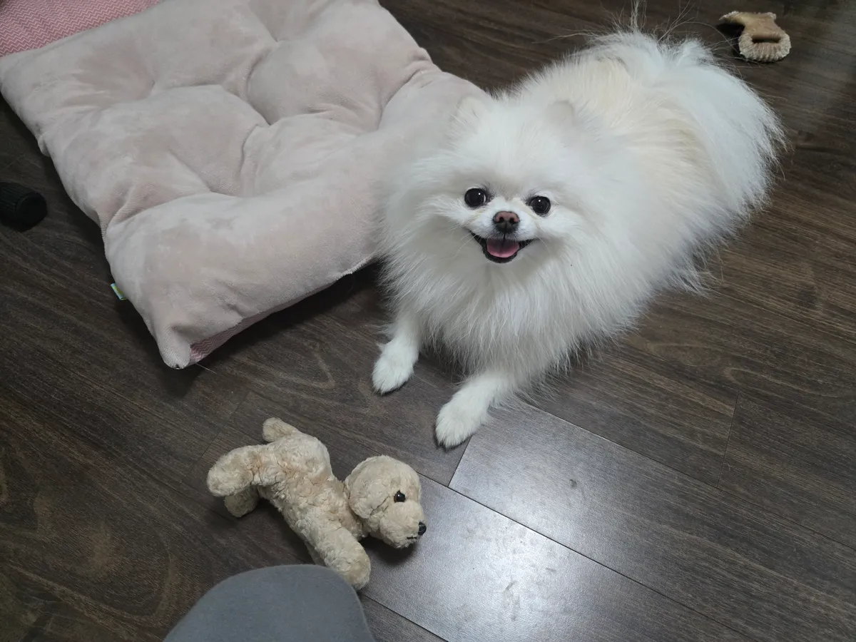 이미지 7