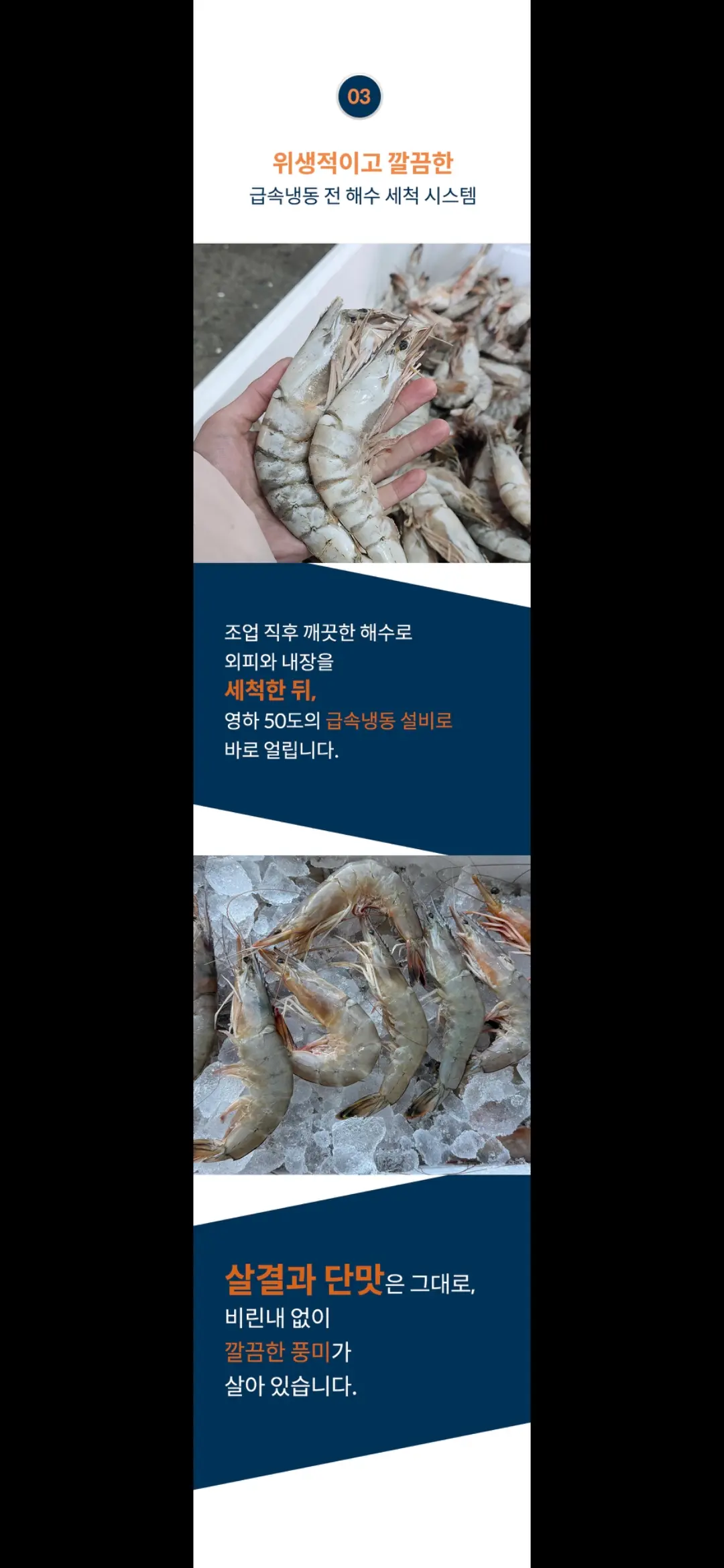 이미지 6