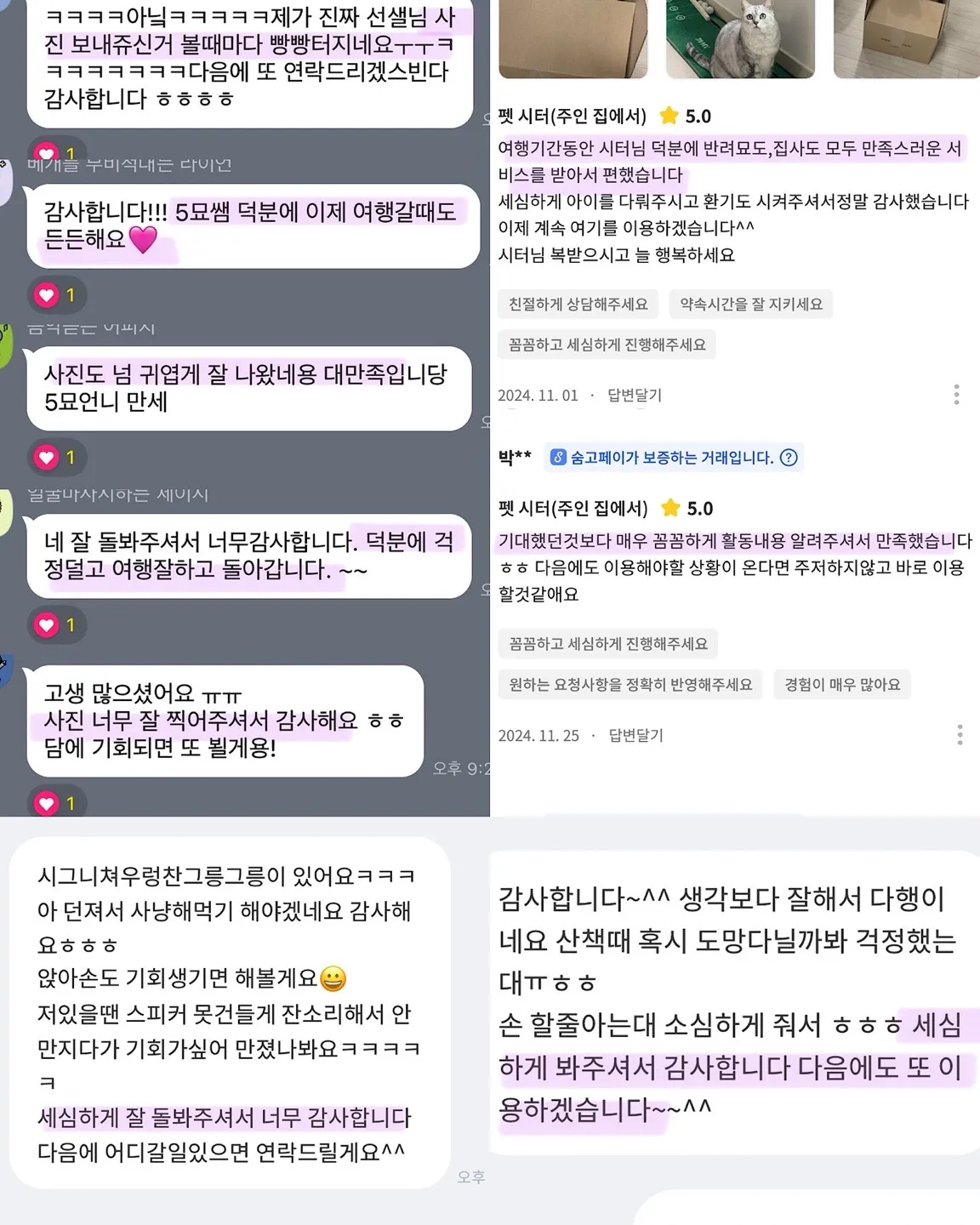 이미지 4