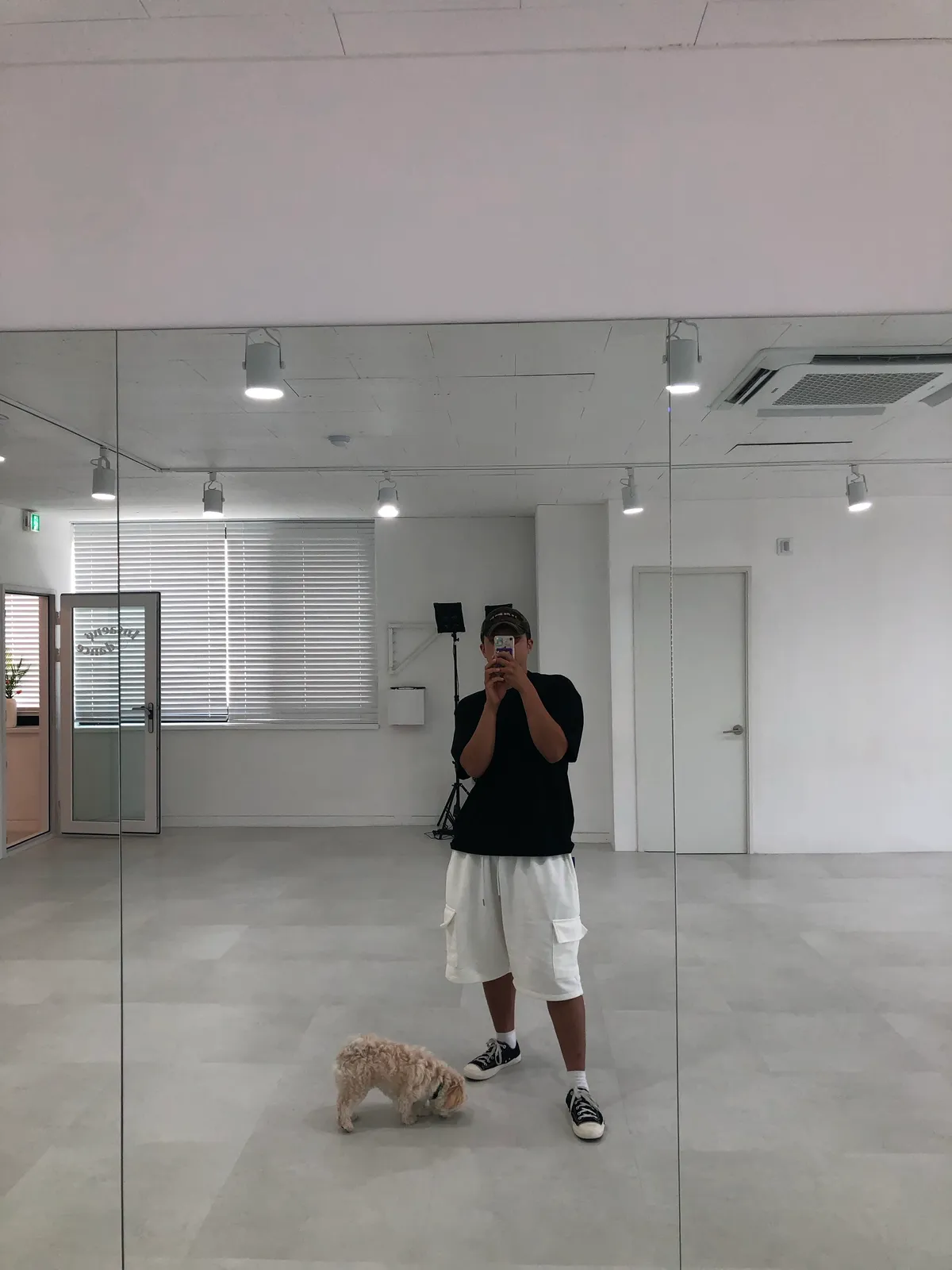 이미지 5