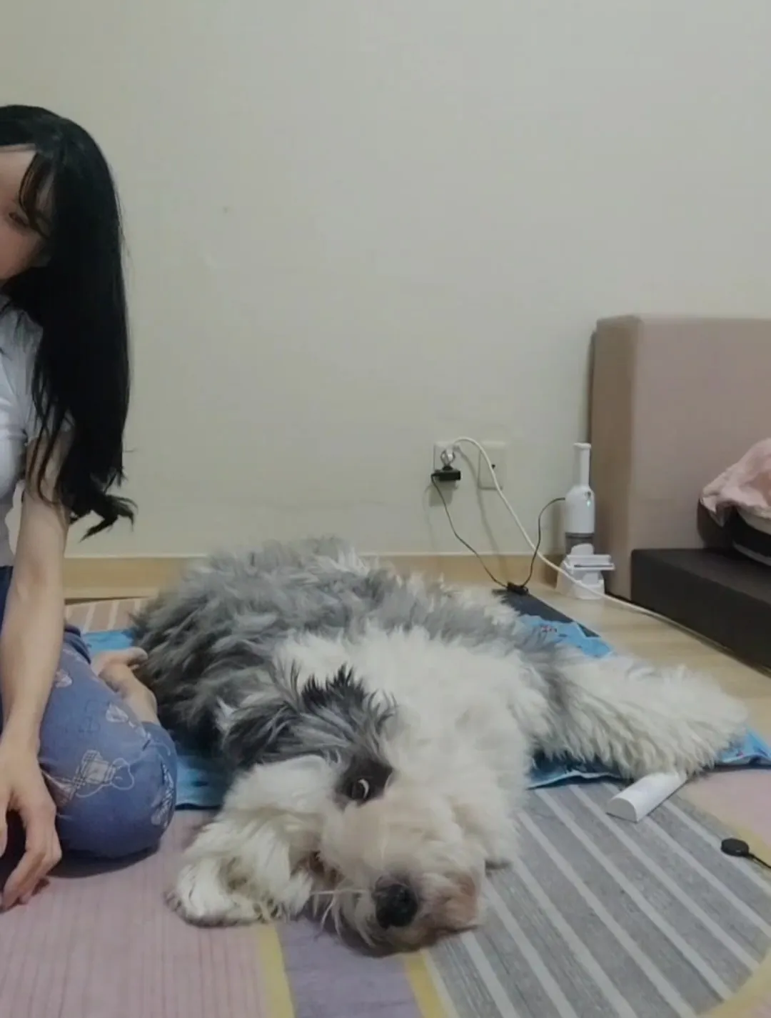 이미지 12