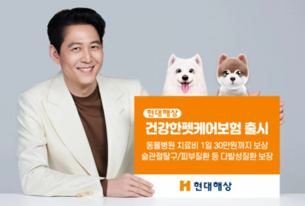 이미지 5