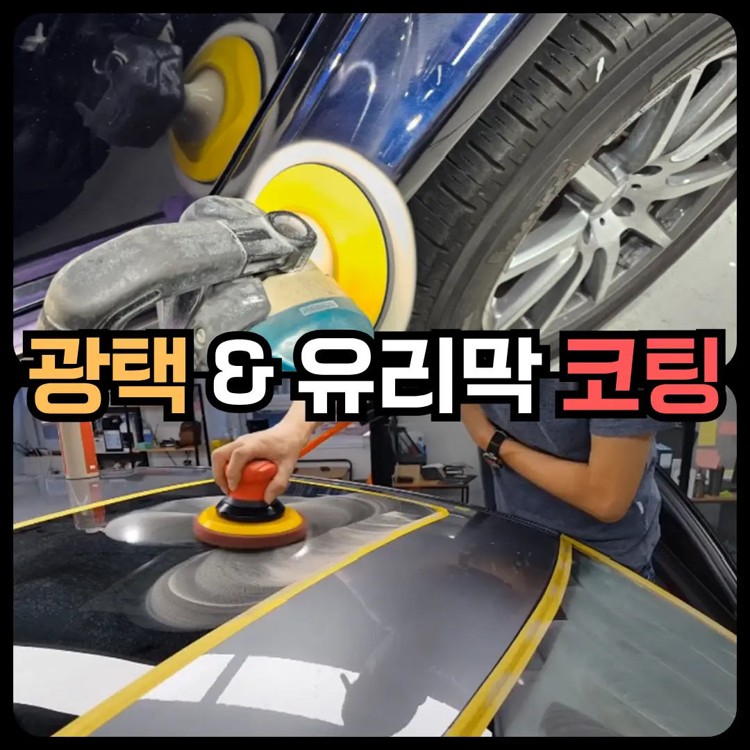 이미지 7