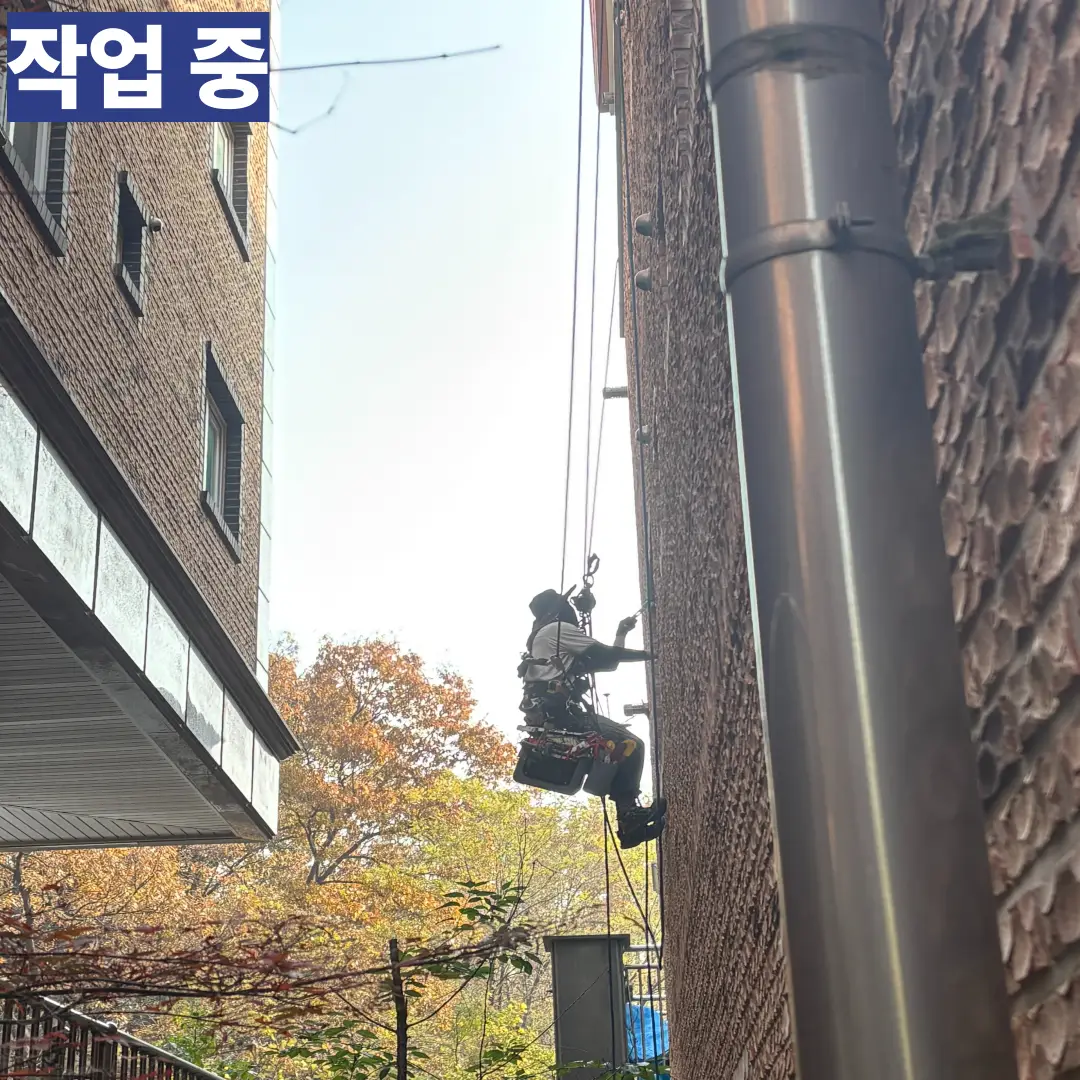 이미지 8