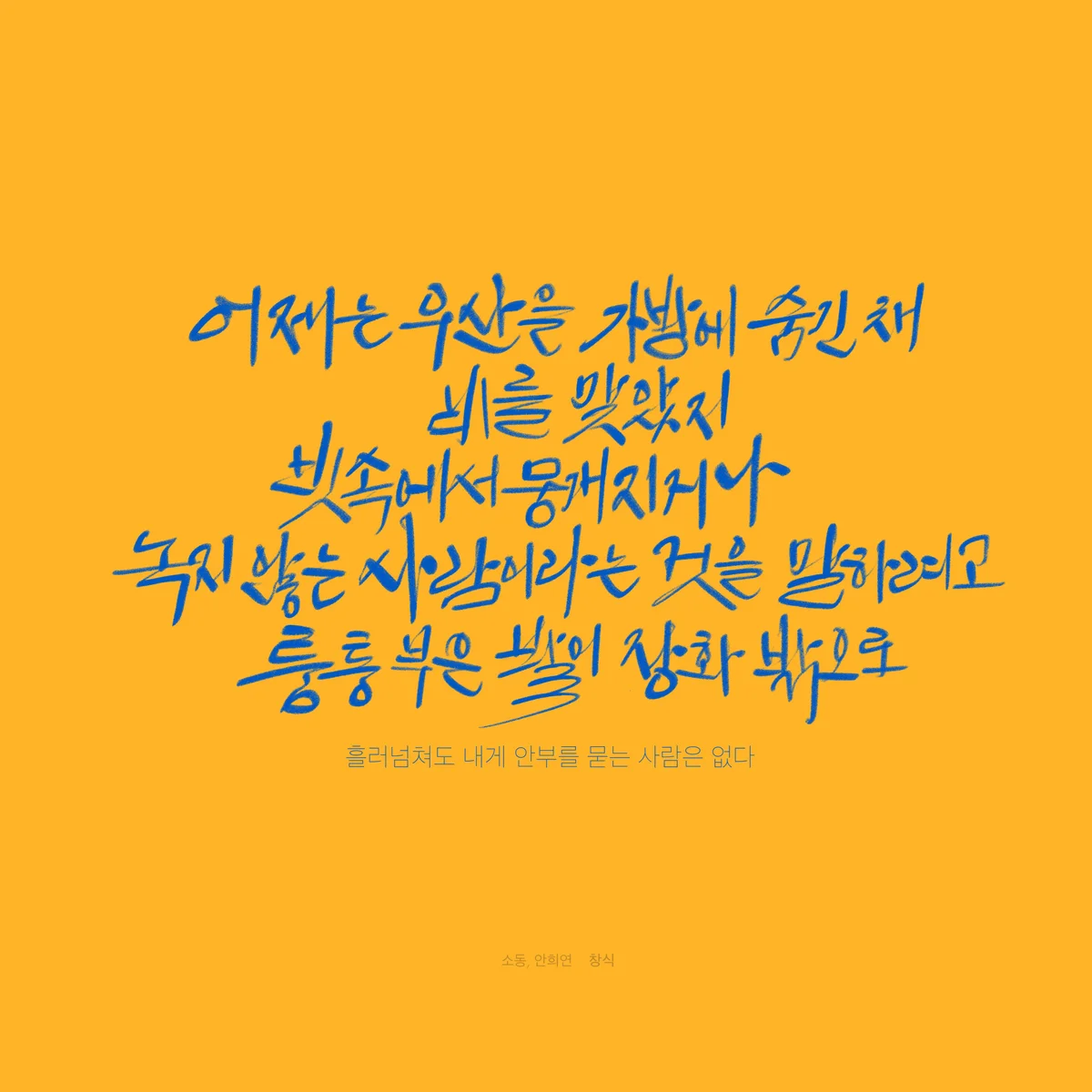 이미지 5