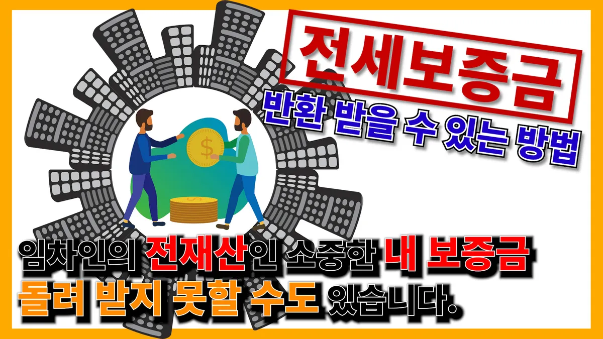 이미지 5