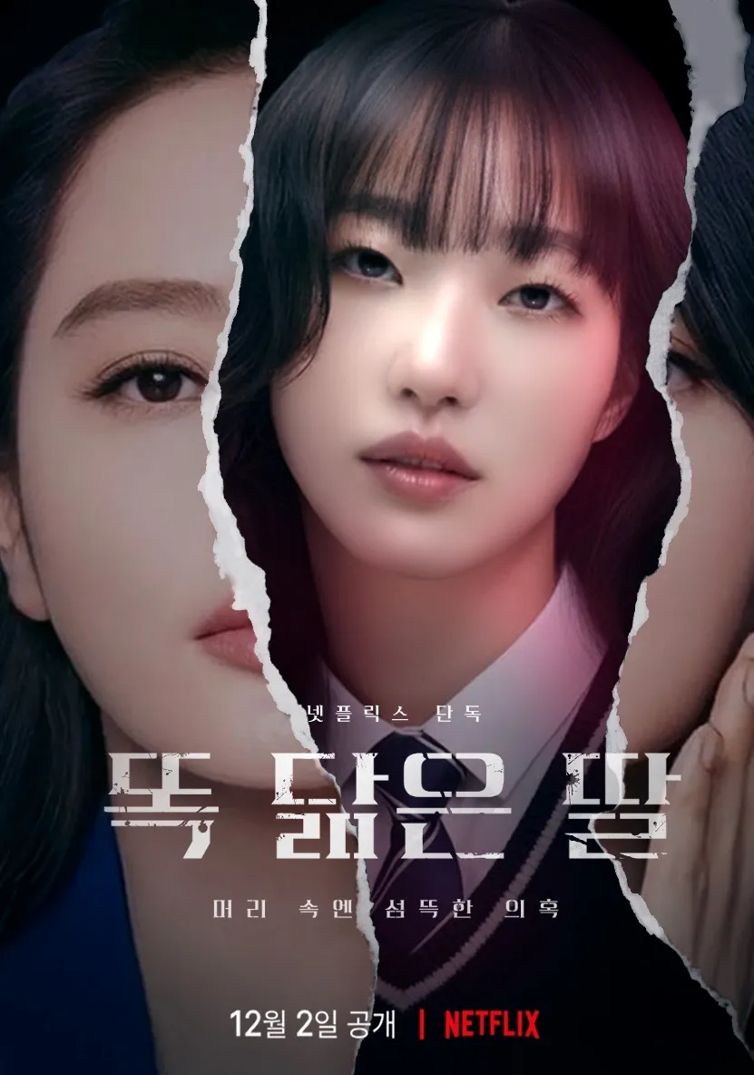 이미지 10