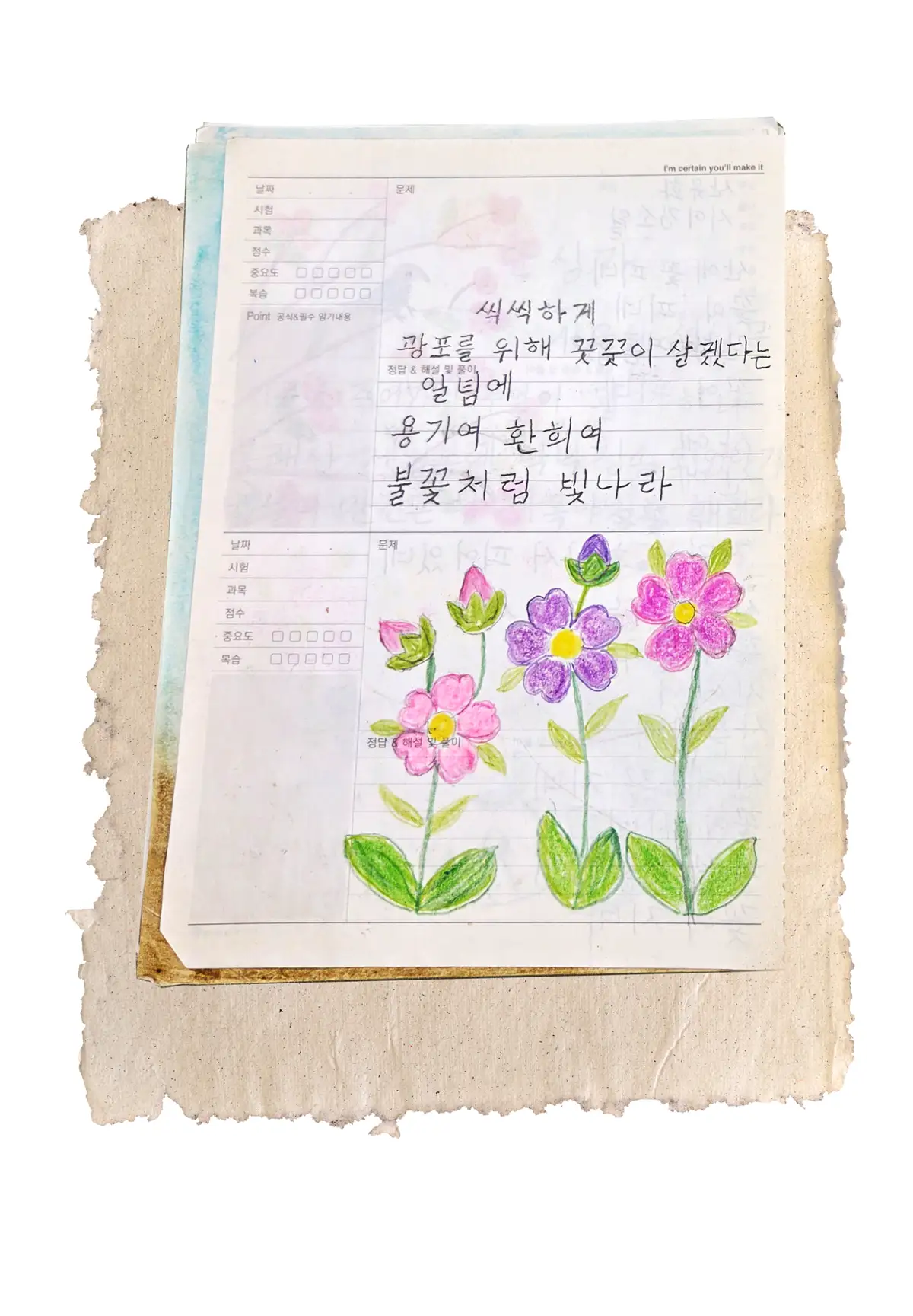 이미지 4