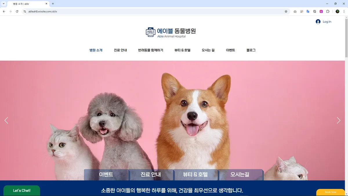 포트폴리오 이미지