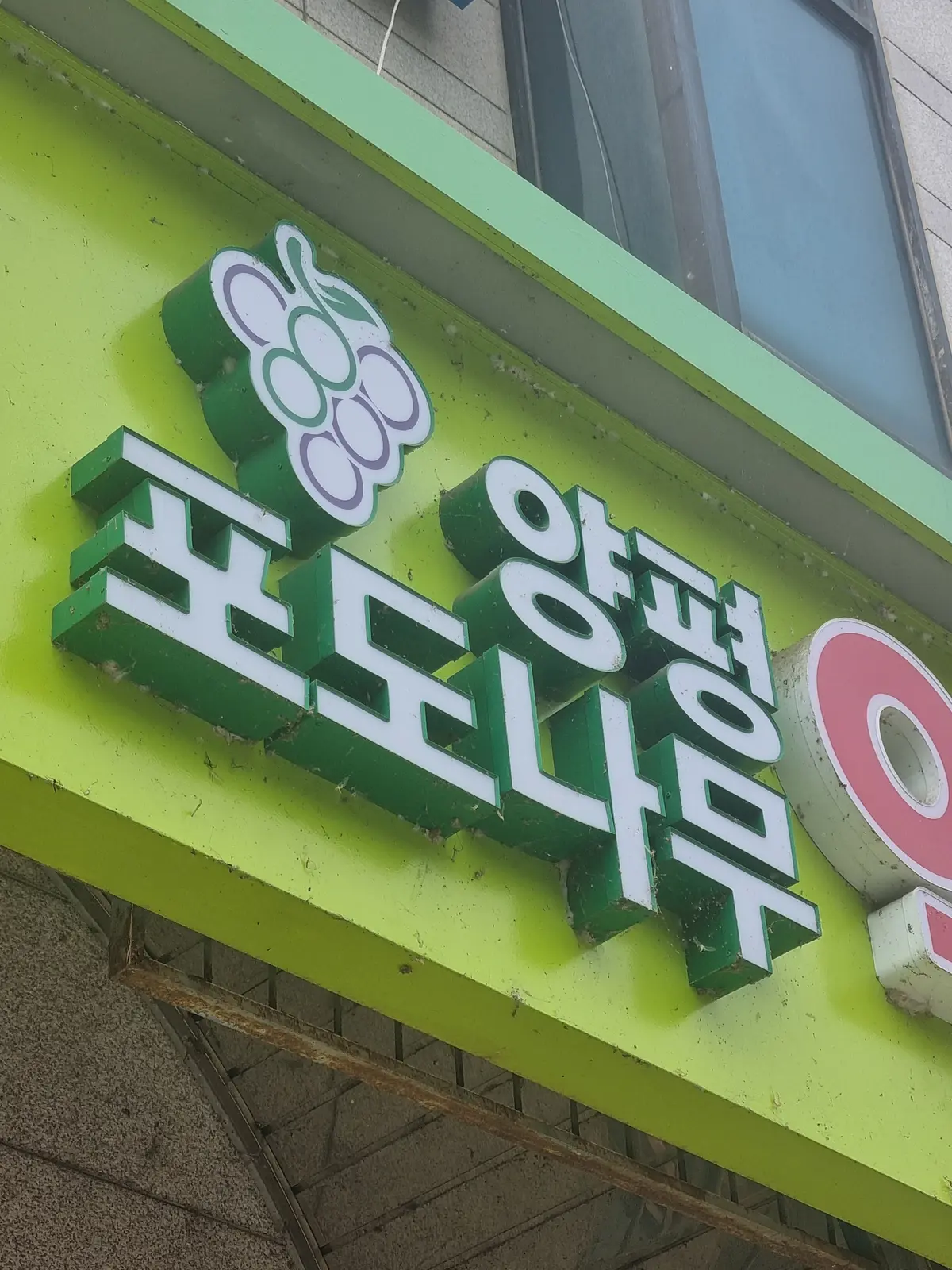 이미지 6