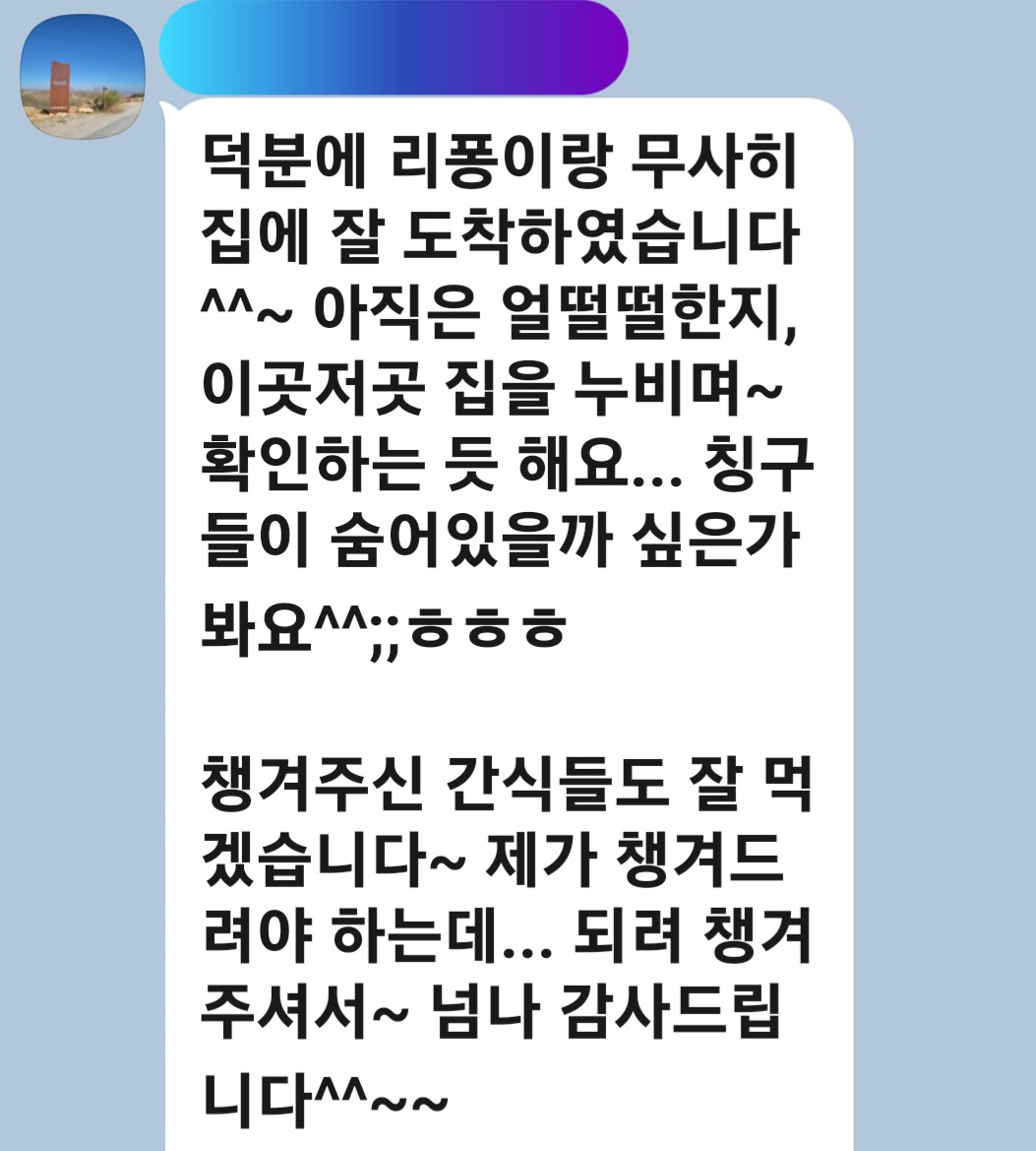 이미지 12