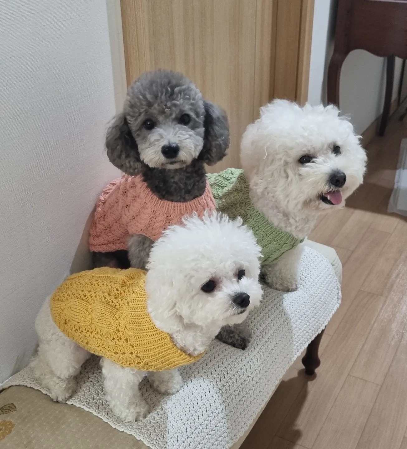 이미지 3