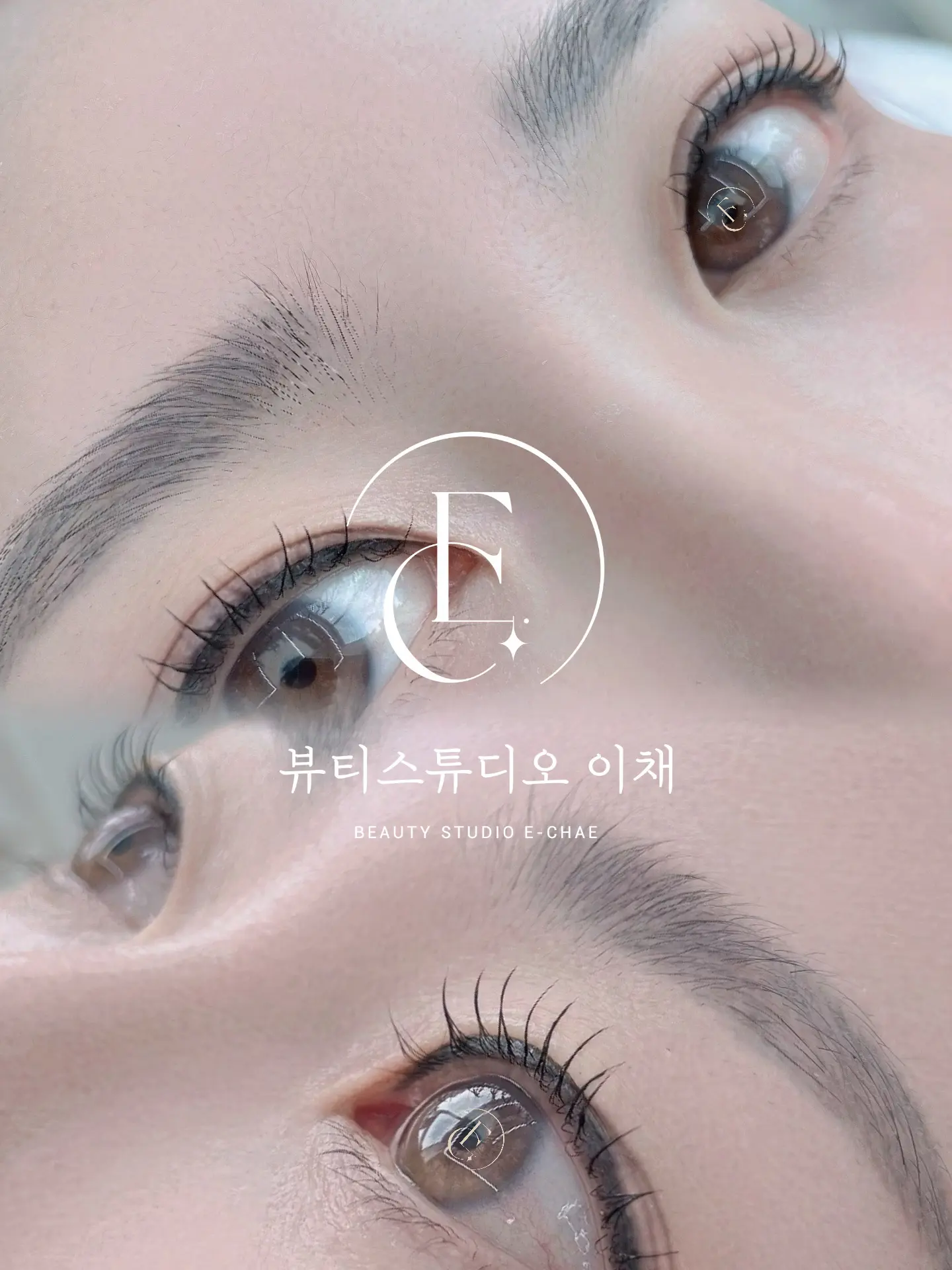 이미지 4