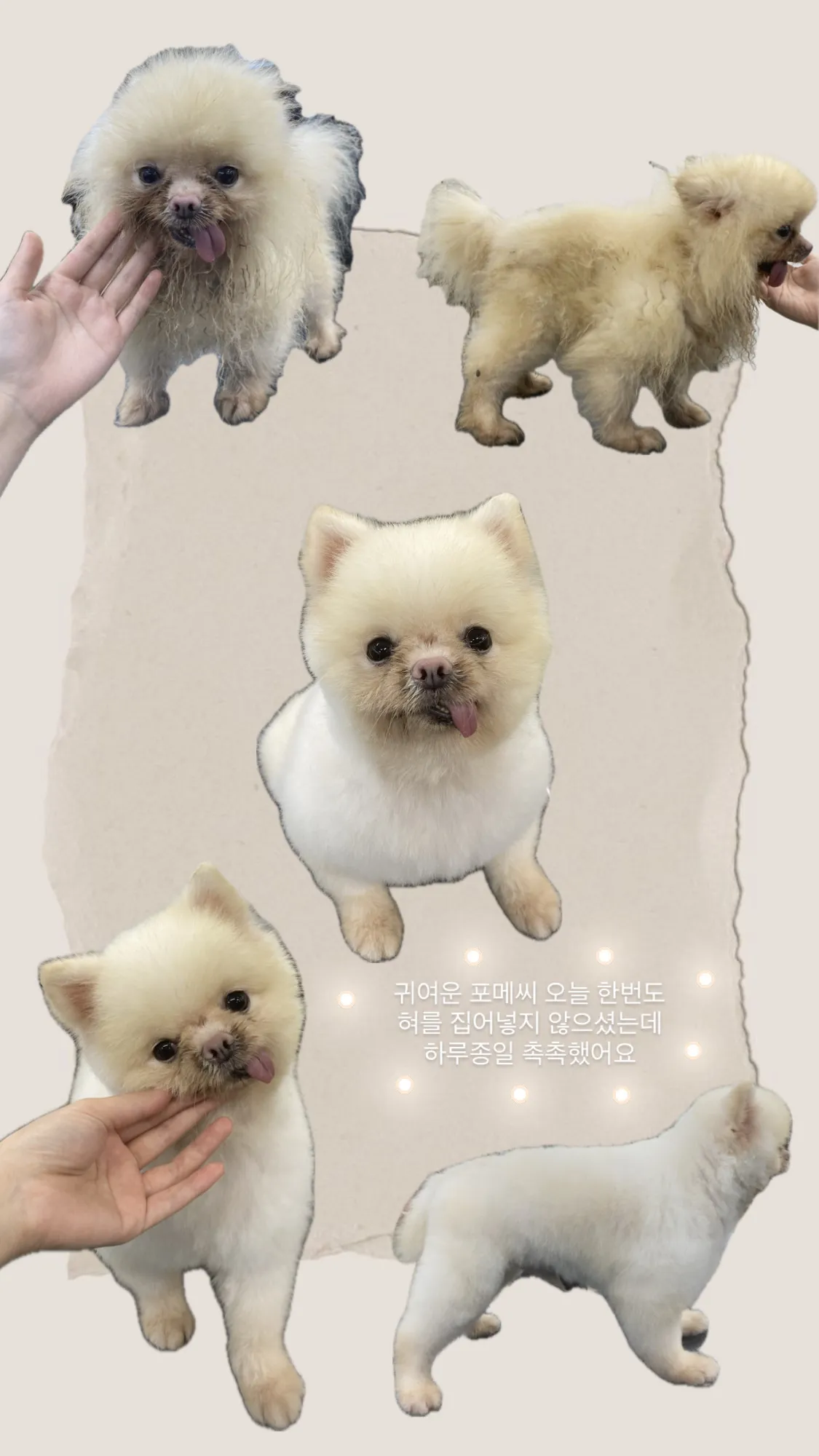 이미지 6