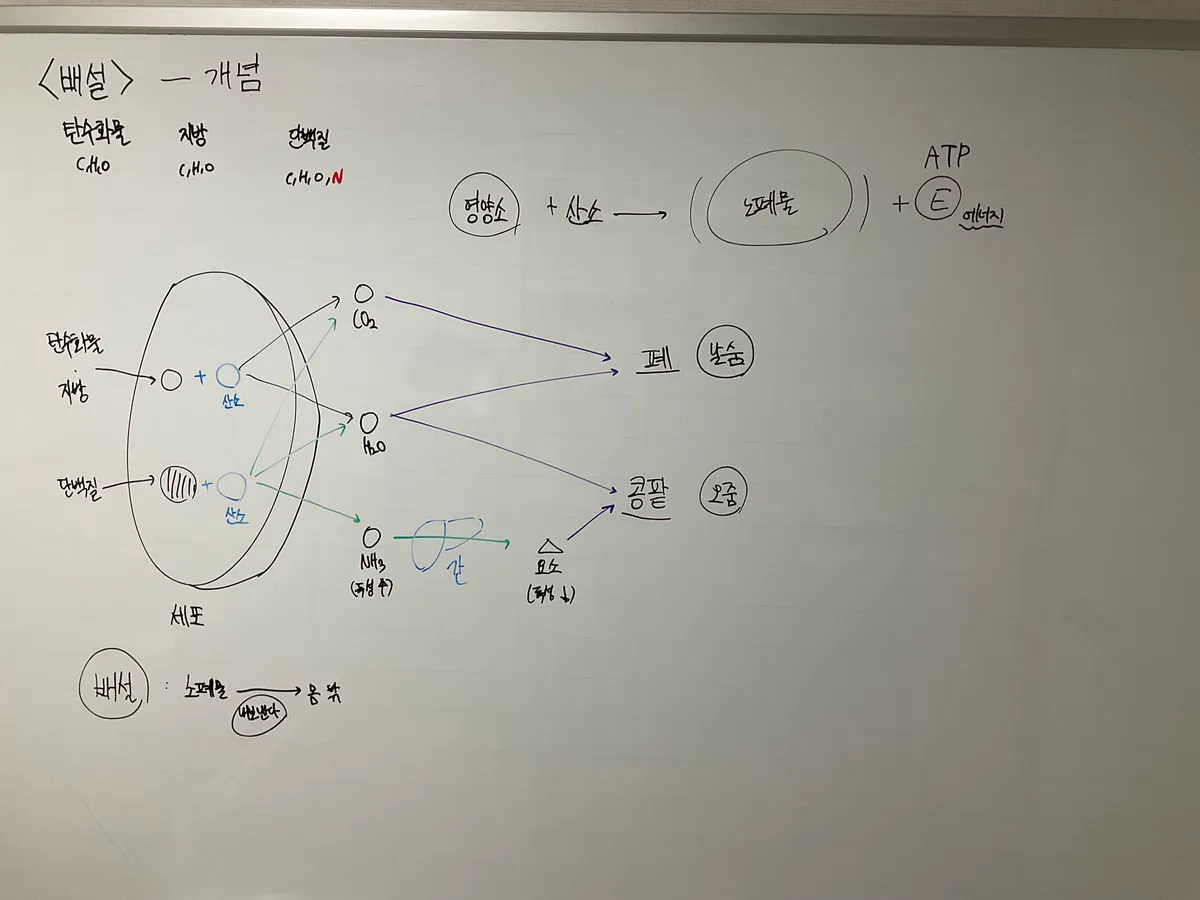 이미지 5
