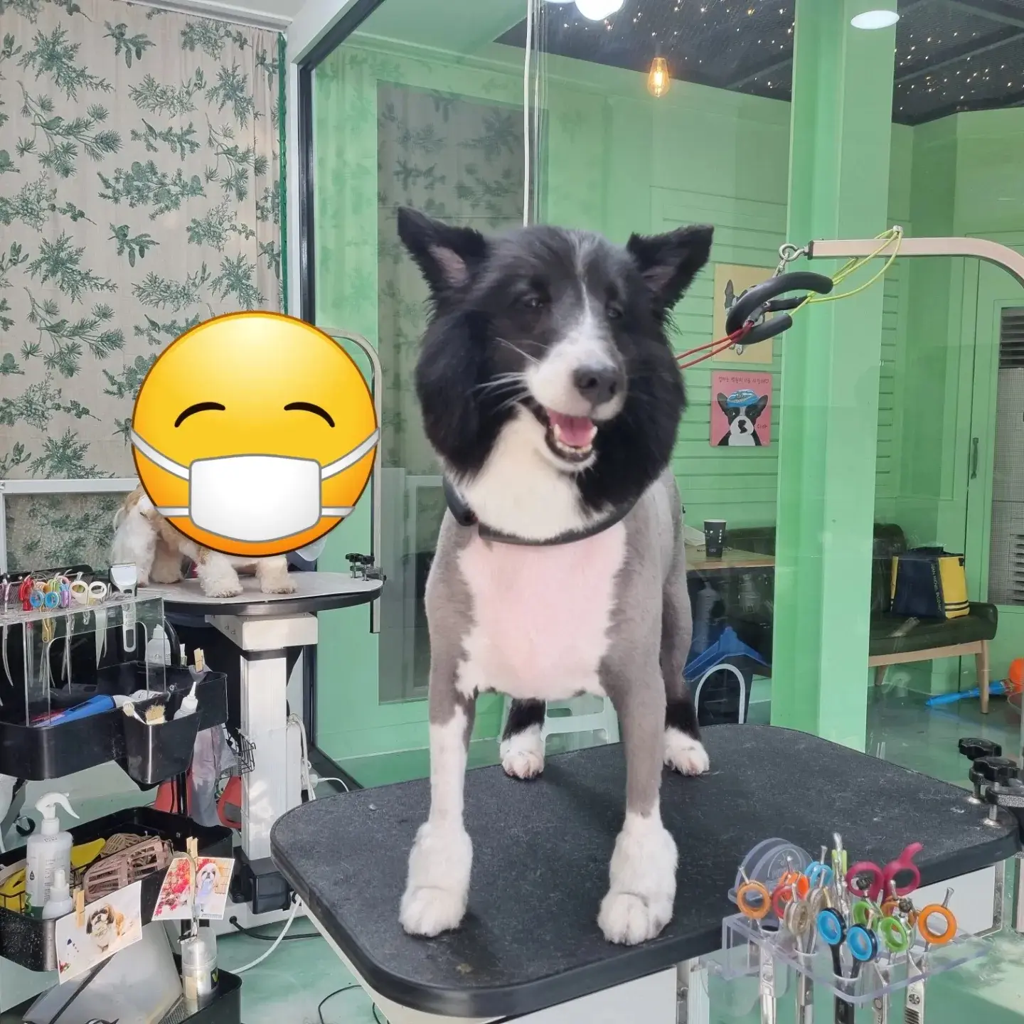 이미지 11