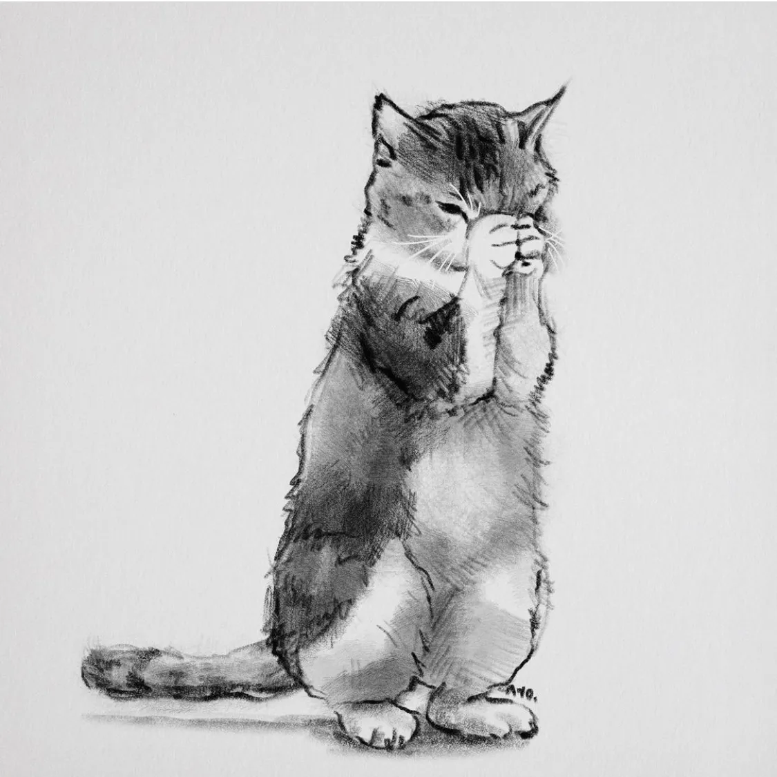 이미지 12