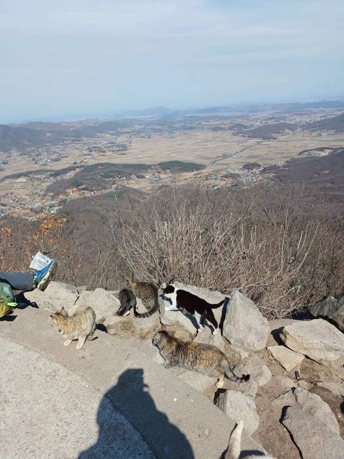 이미지 7