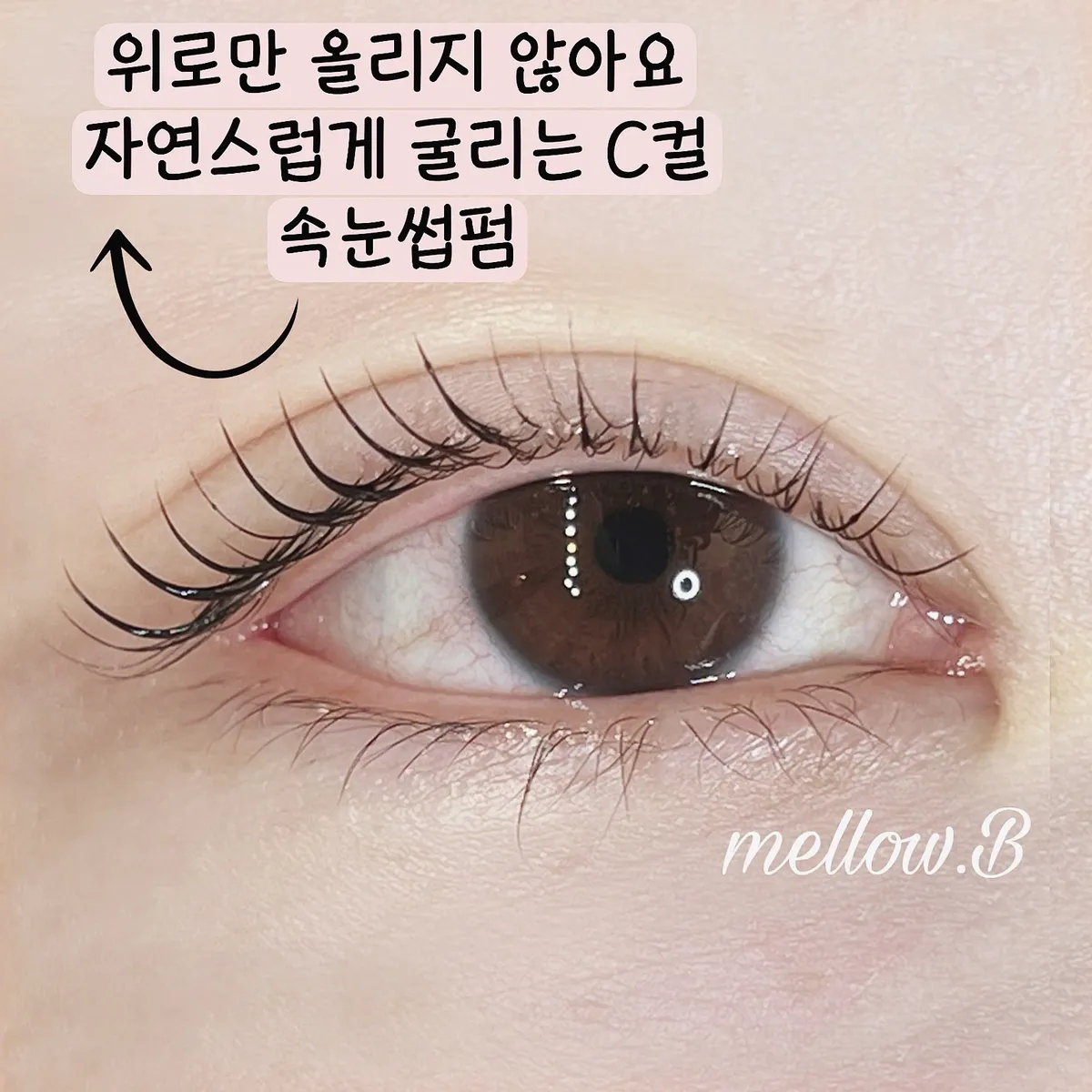 이미지 5