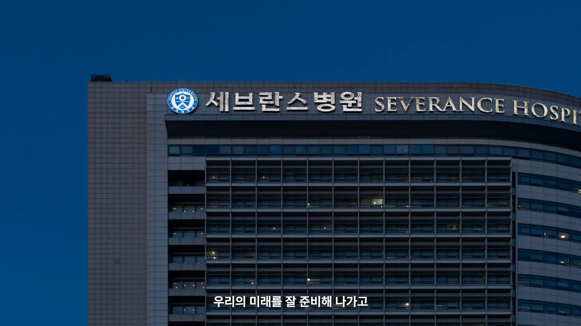 이미지 11