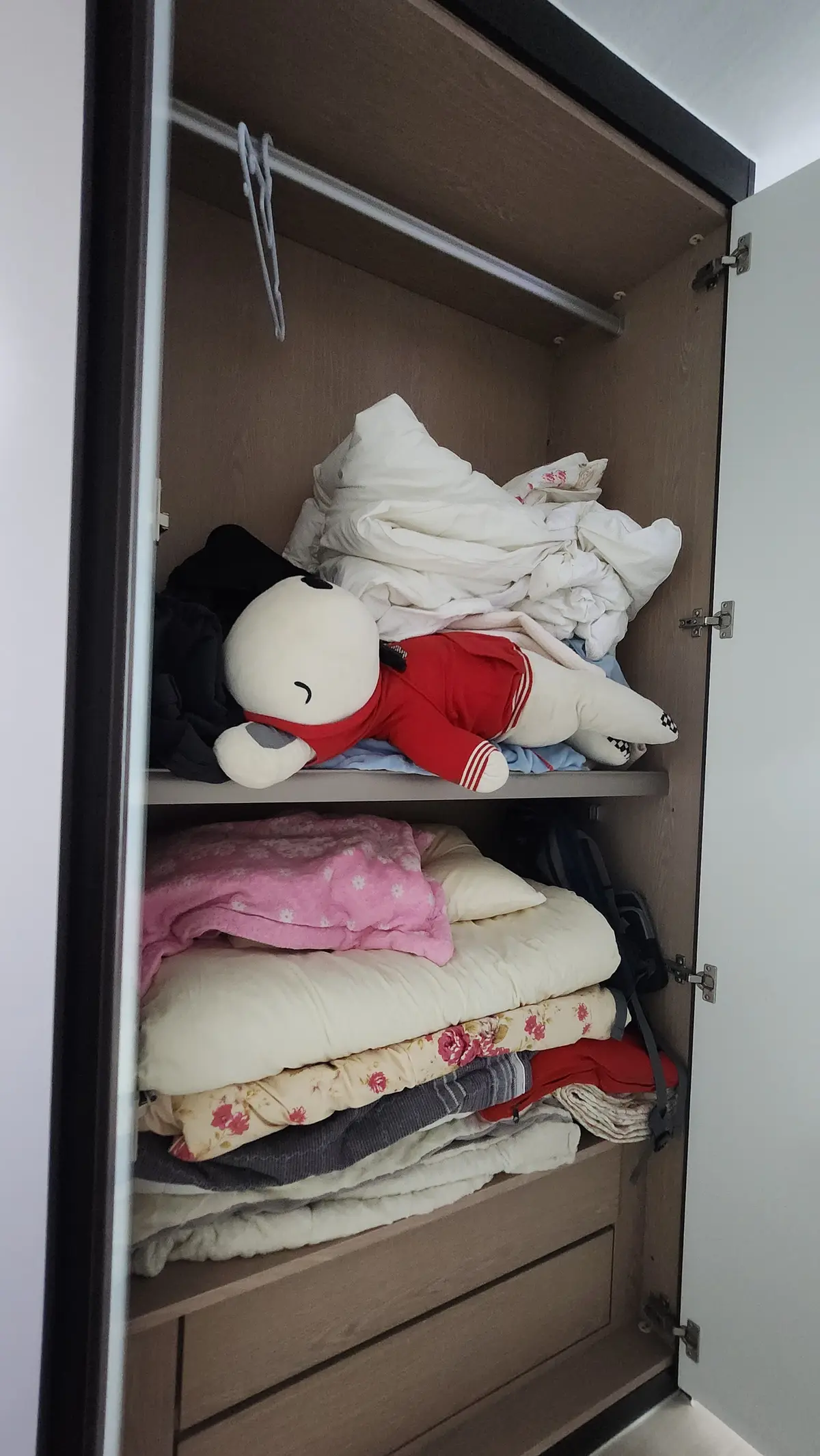 이미지 14