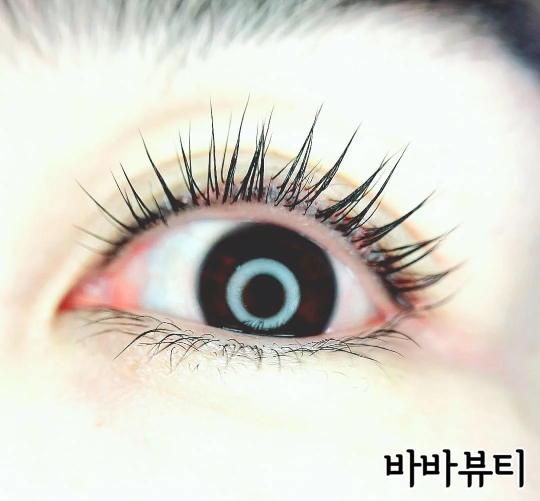 이미지 5