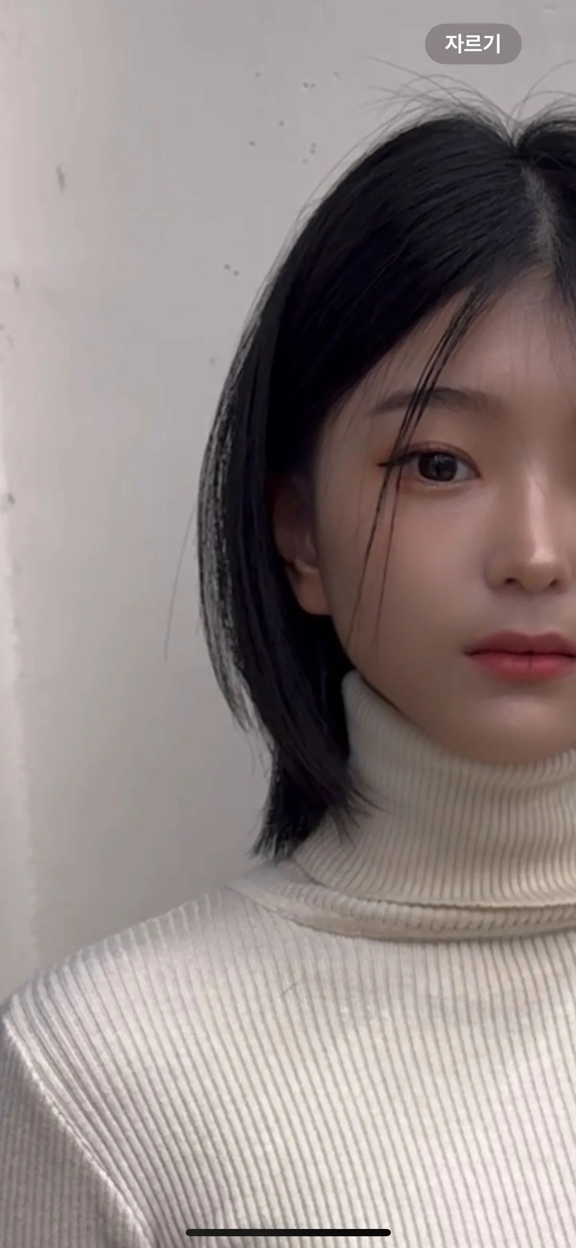 이미지 7