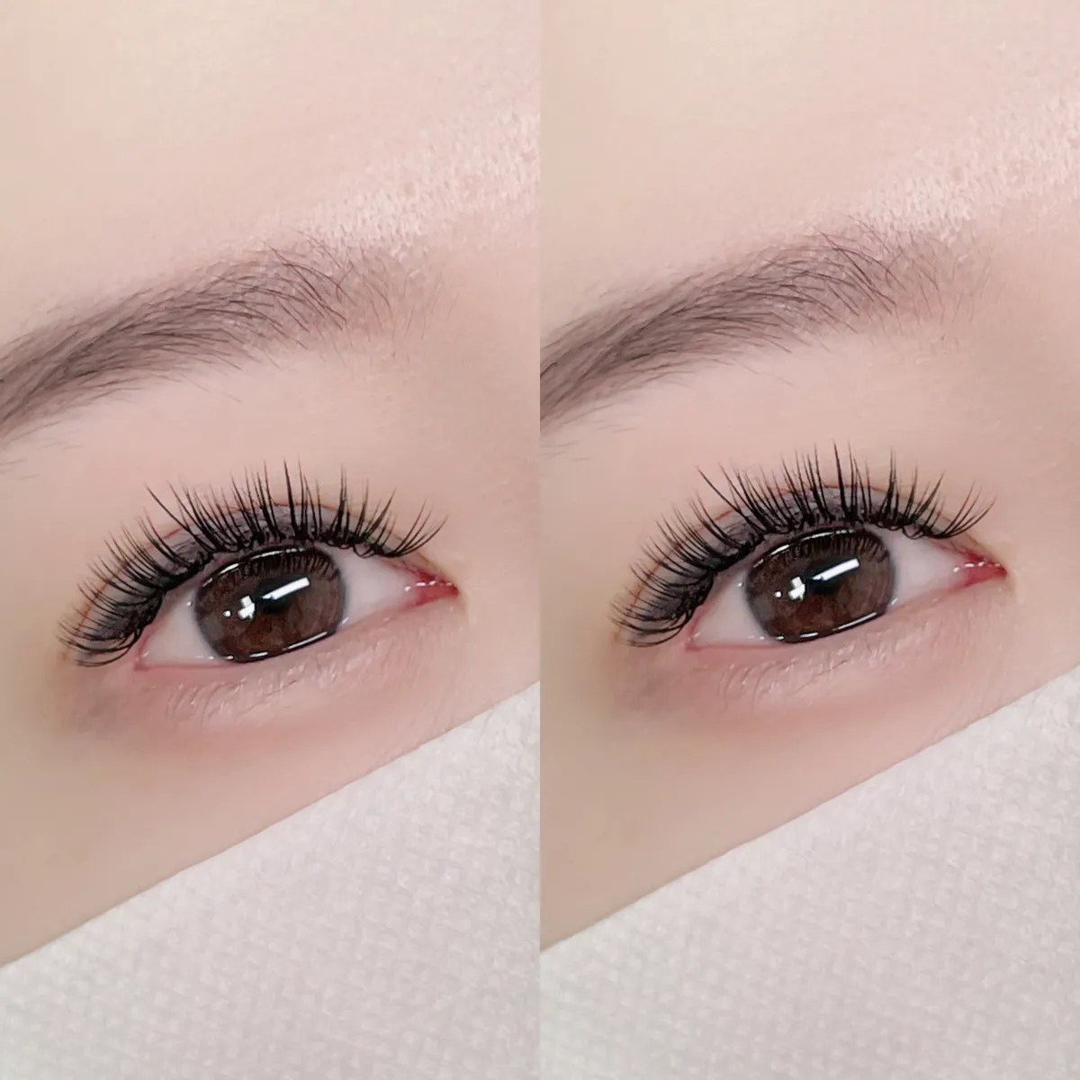 이미지 6