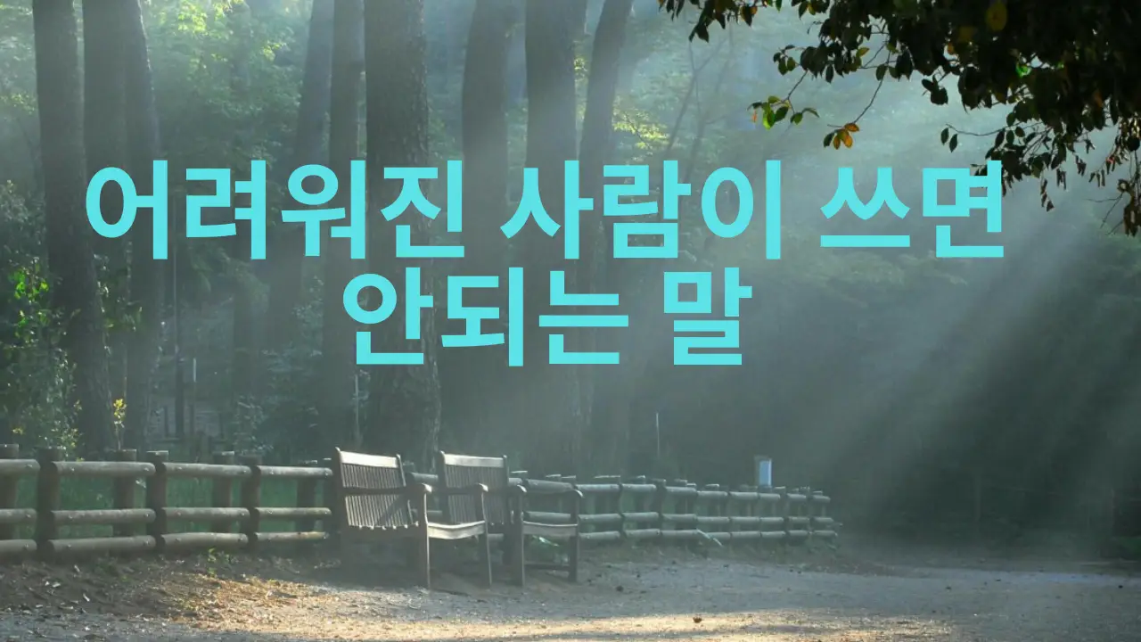 이미지 6