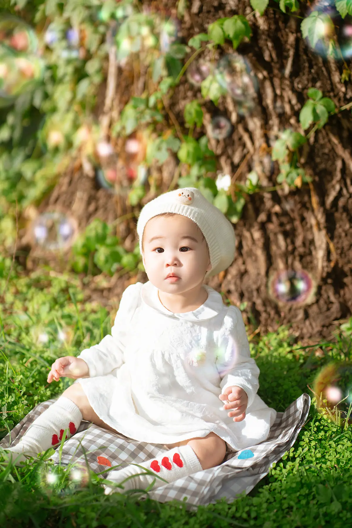 이미지 11
