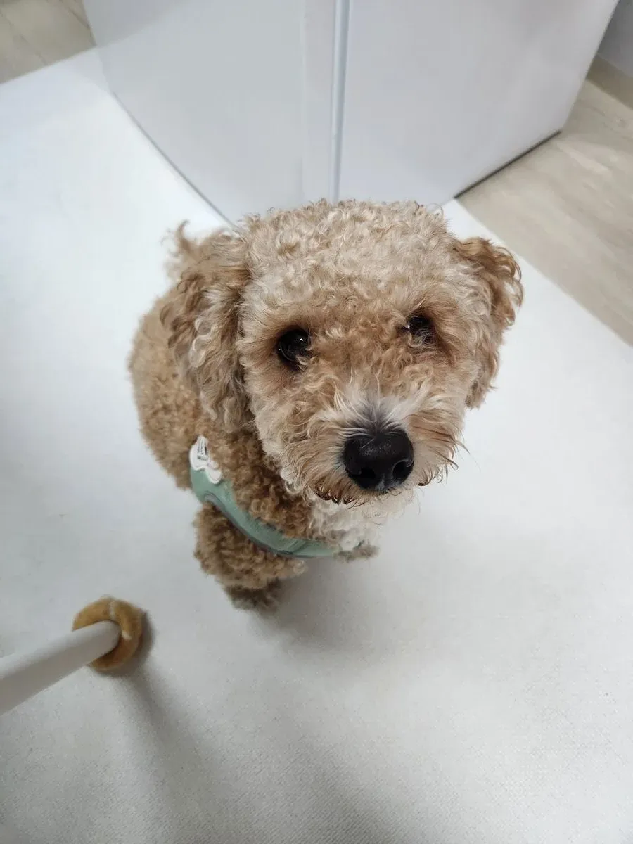 이미지 8