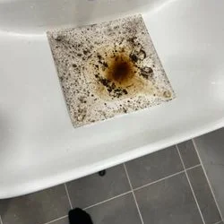 습한 화장실 청소