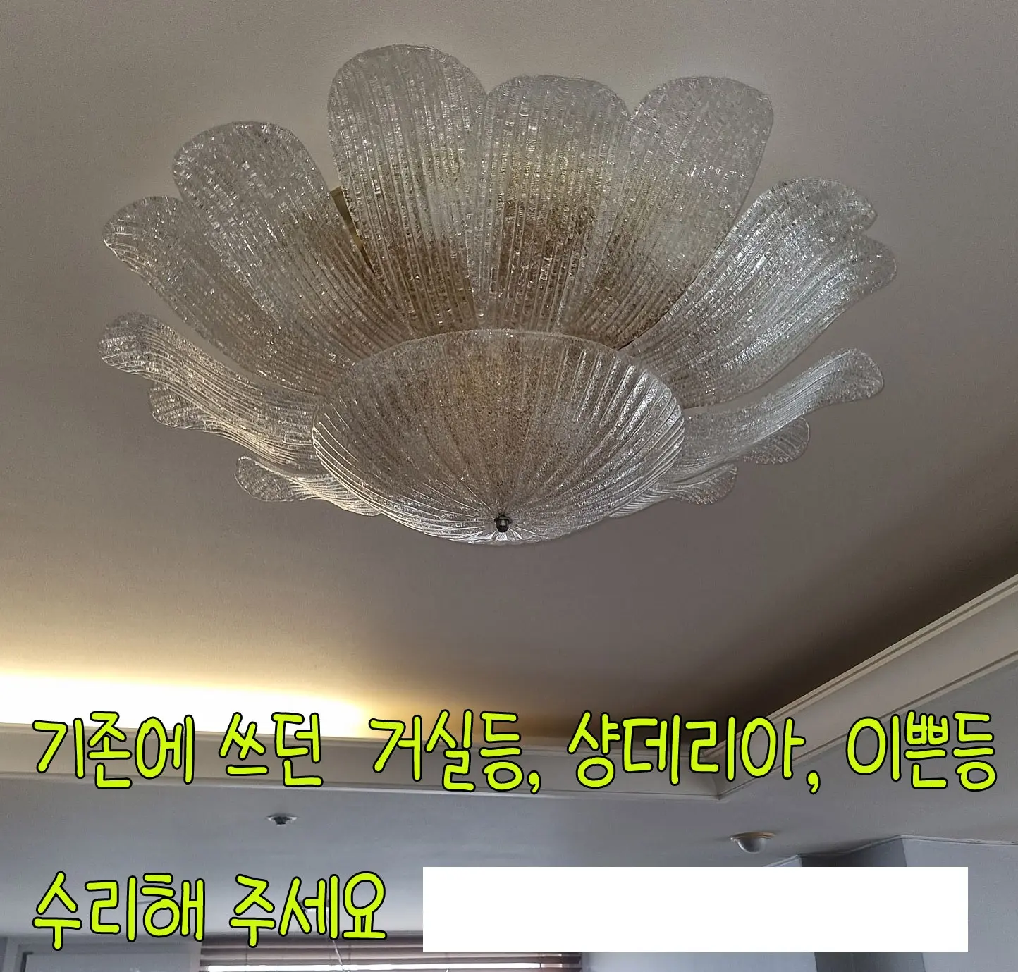 이미지 8